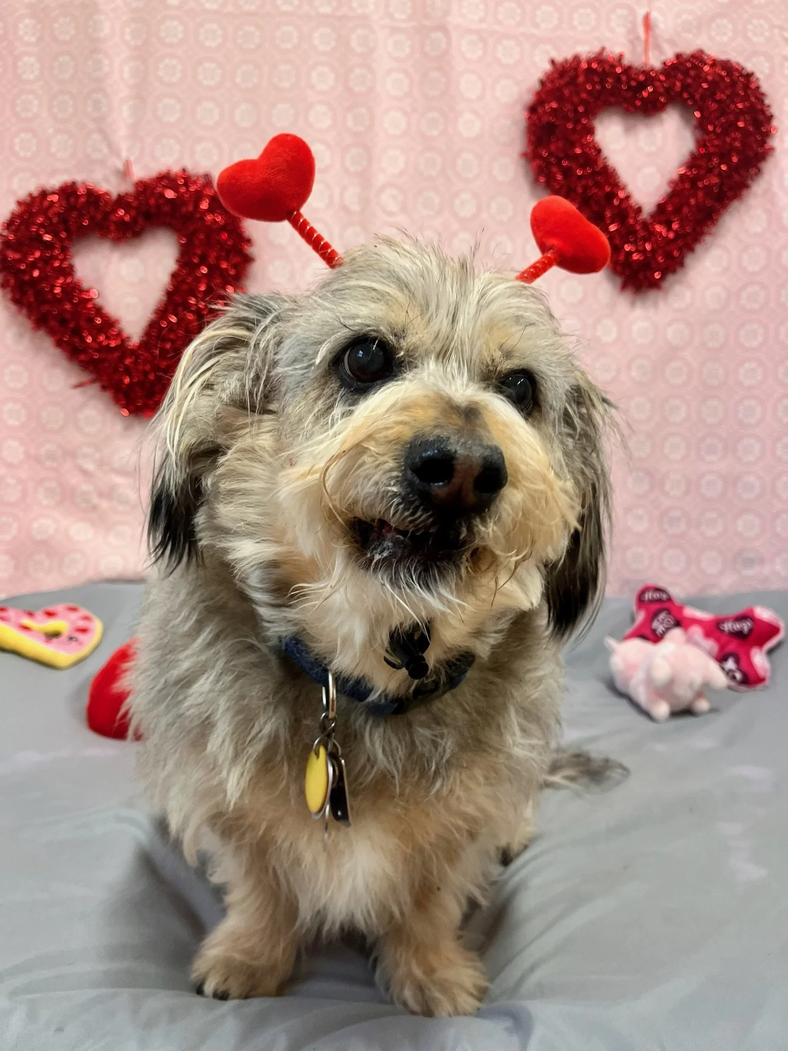 Valentine's Day 2025 