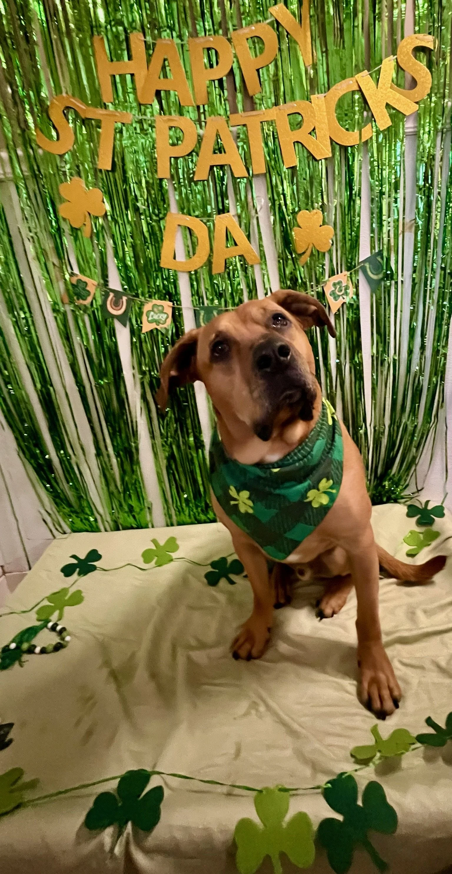 St. Patrick's Day 2025 