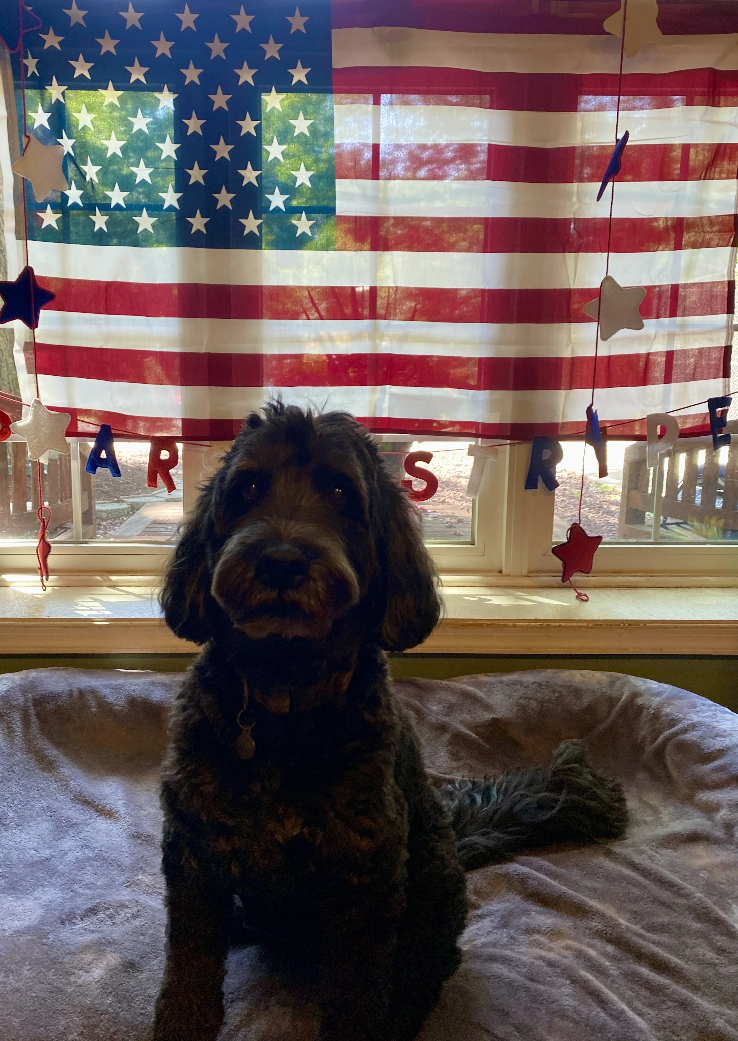 Independence Day 2025 