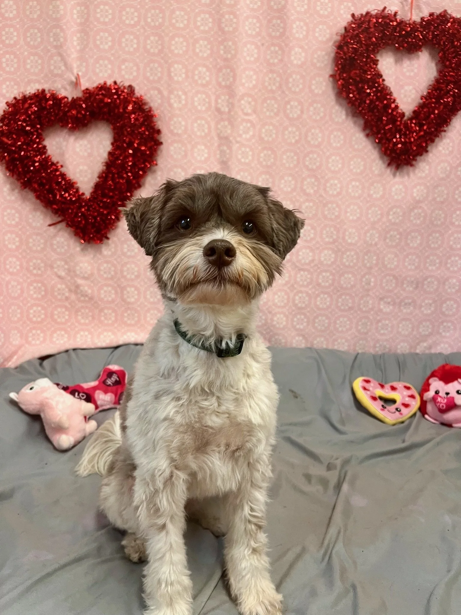 Valentine's Day 2025 