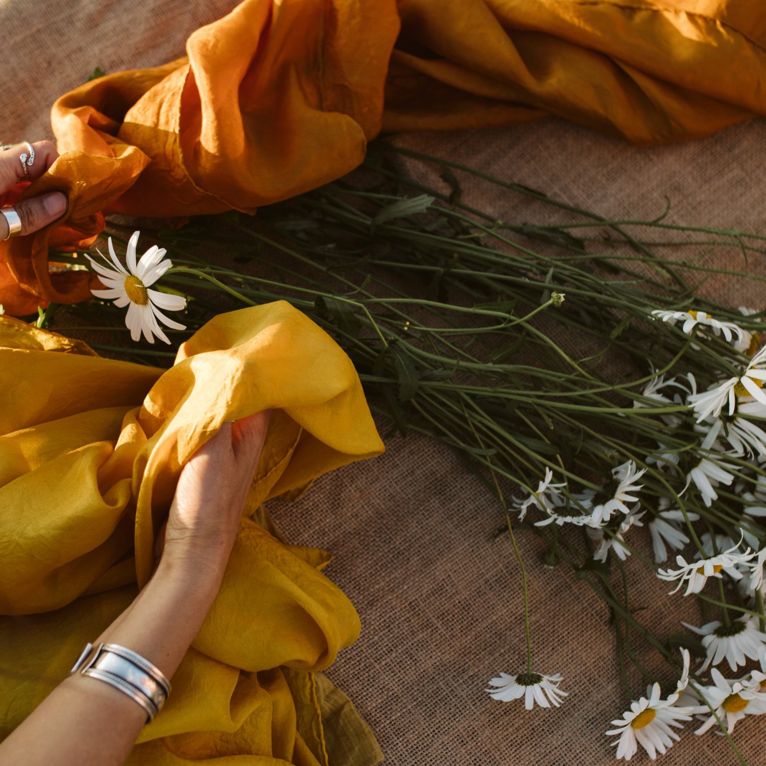 Natural Plant Dyes .jpg