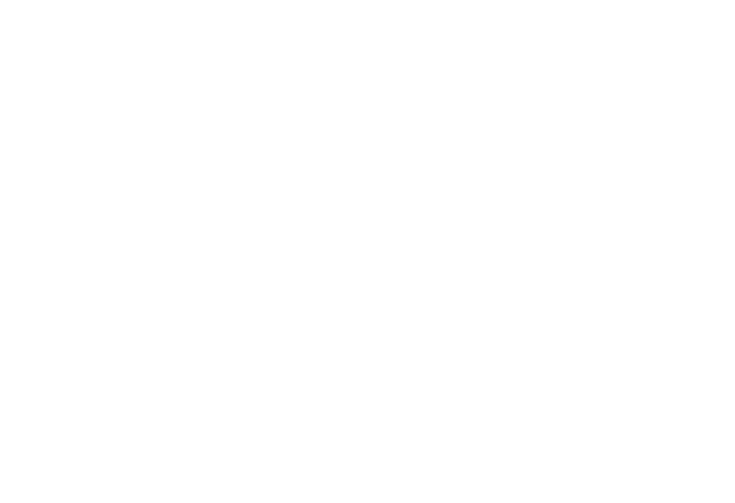 Nayree Painted Turtle Memorial Fund
