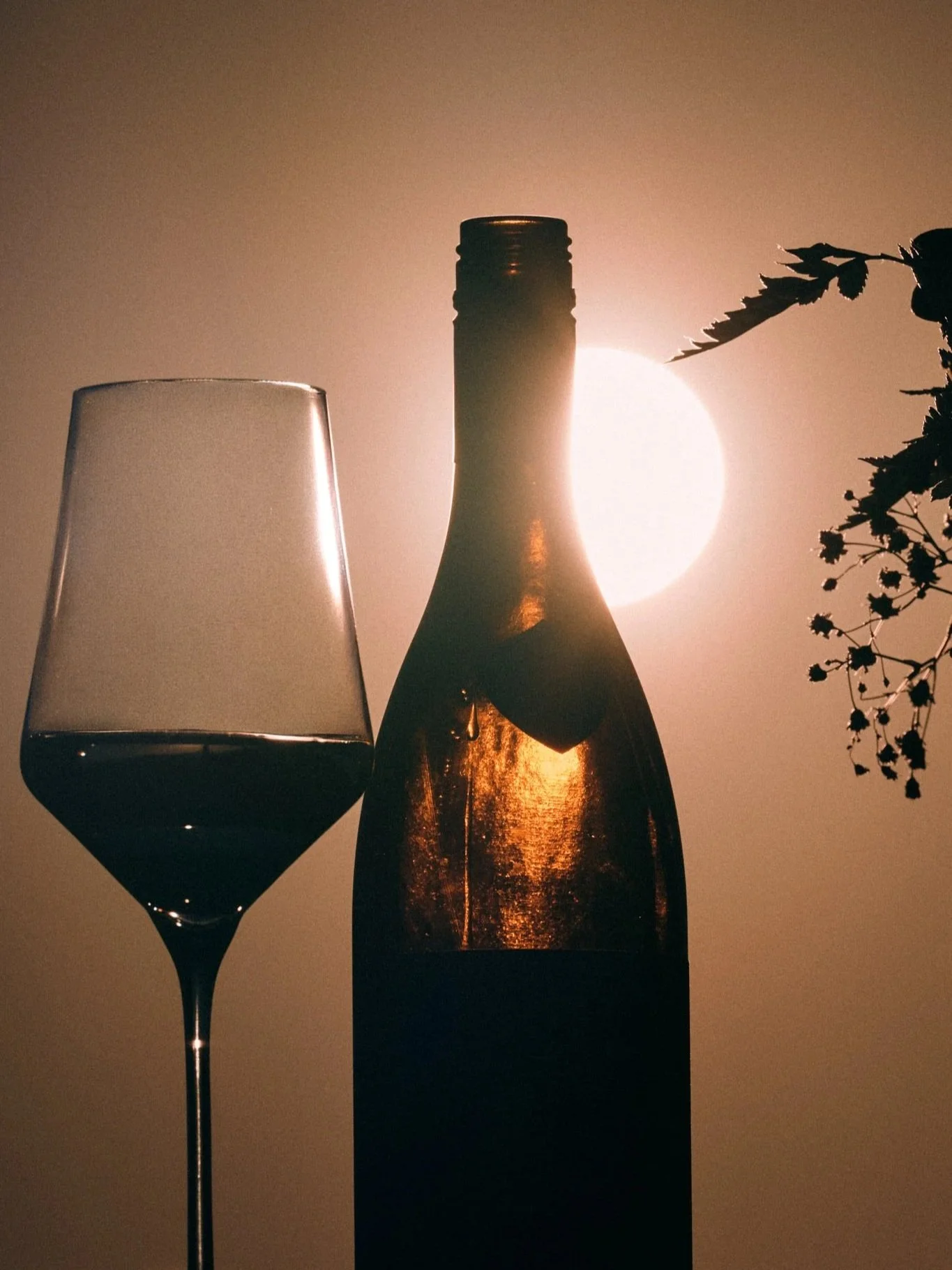 _DSC5889_Wine-and-Beats-Samuel-Kuro-seciao.jpg