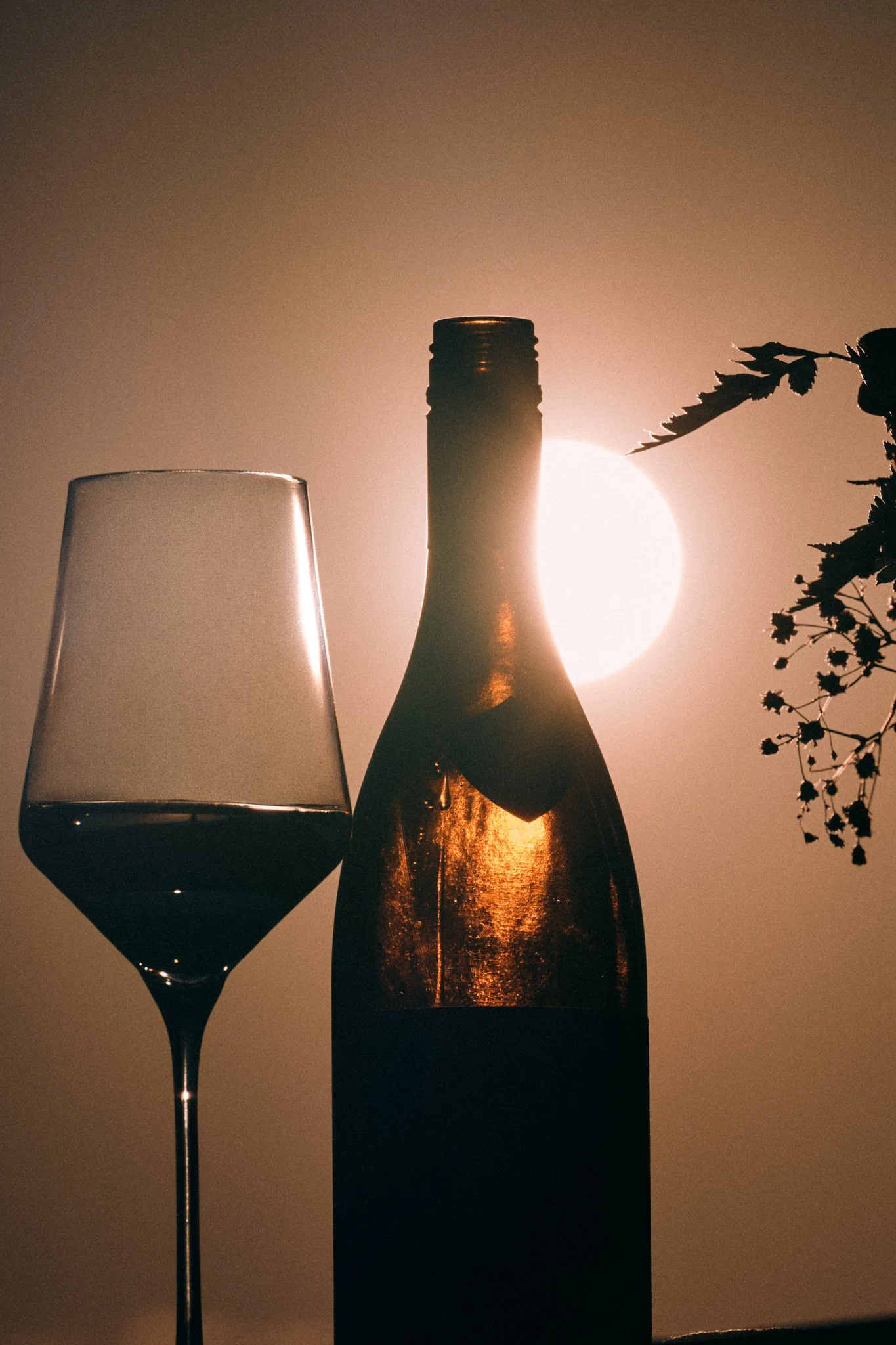 _DSC5889_Wine-and-Beats-Samuel-Kuro-seciao.jpg