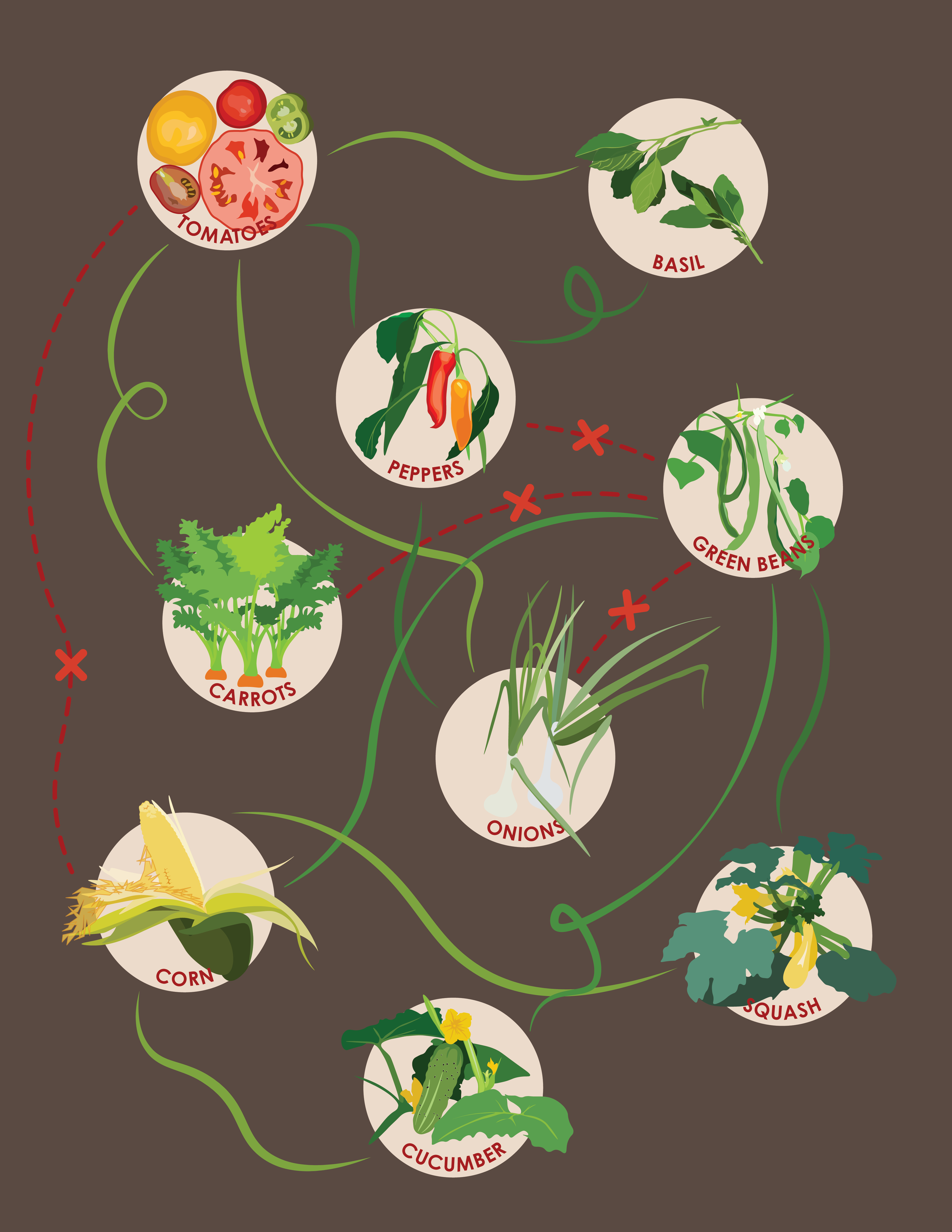 Companion Planting