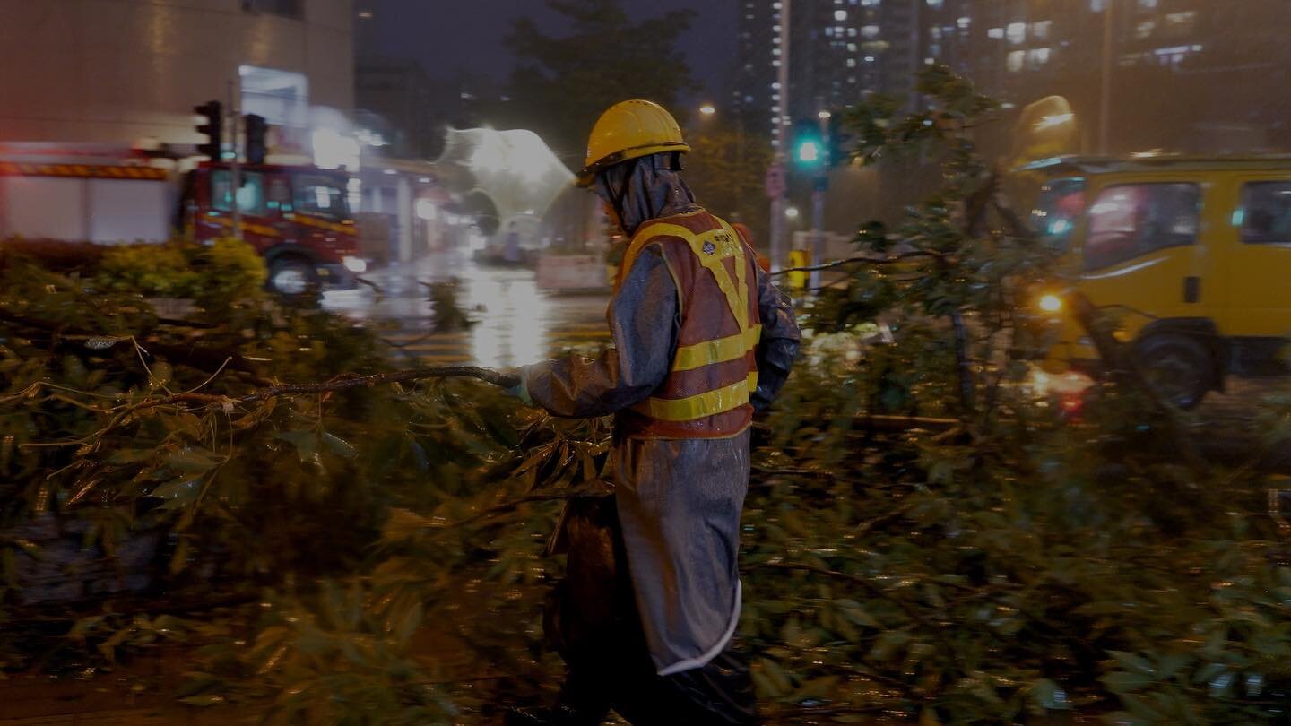 Forgot to bring a lens wipe. Workers rush to clear a tree fallen during #TyphoonSaola&rsquo;s early onslaught in Tseung Kwan O on September 1, 2023. 

#scmp @scmpnews #videojournalism #motionpictureperfect #lumixs5iix #lumix
#capturehongkong #discove