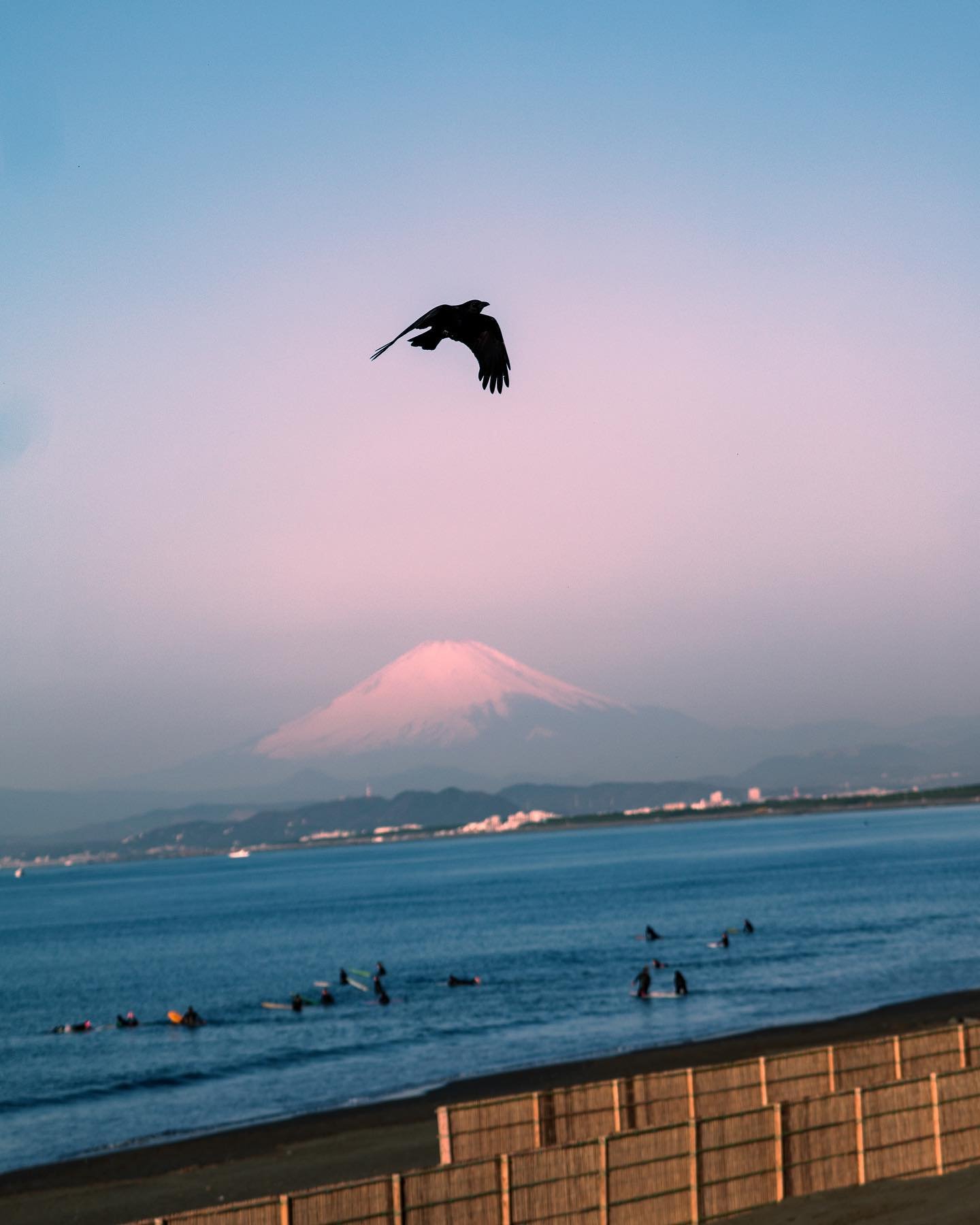 Upon the sacred mountain we all gaze. 
🌅🗻🦅🐈🐈&zwj;⬛🐕🐕