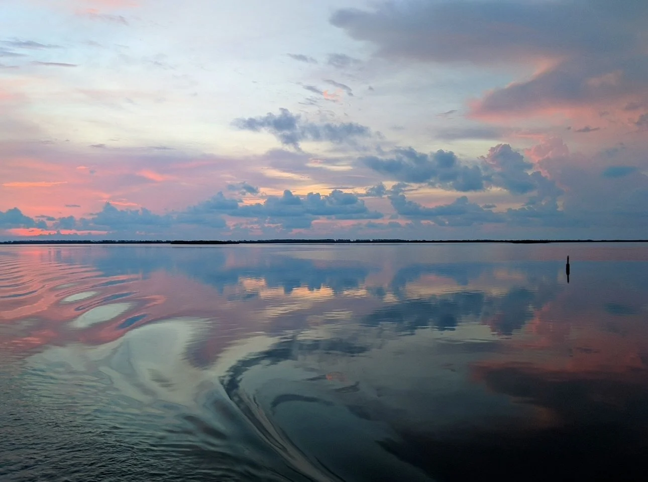 No special reason but It&rsquo;s been a while since I posted.⁣
⁣
I was thinking about our world B.C. (before Covid)⁣
and found this picture from a trip to the Bahamas to swim with wild dolphins just before things shut down.⁣
⁣
Beauty everywhere!⁣
⁣
#
