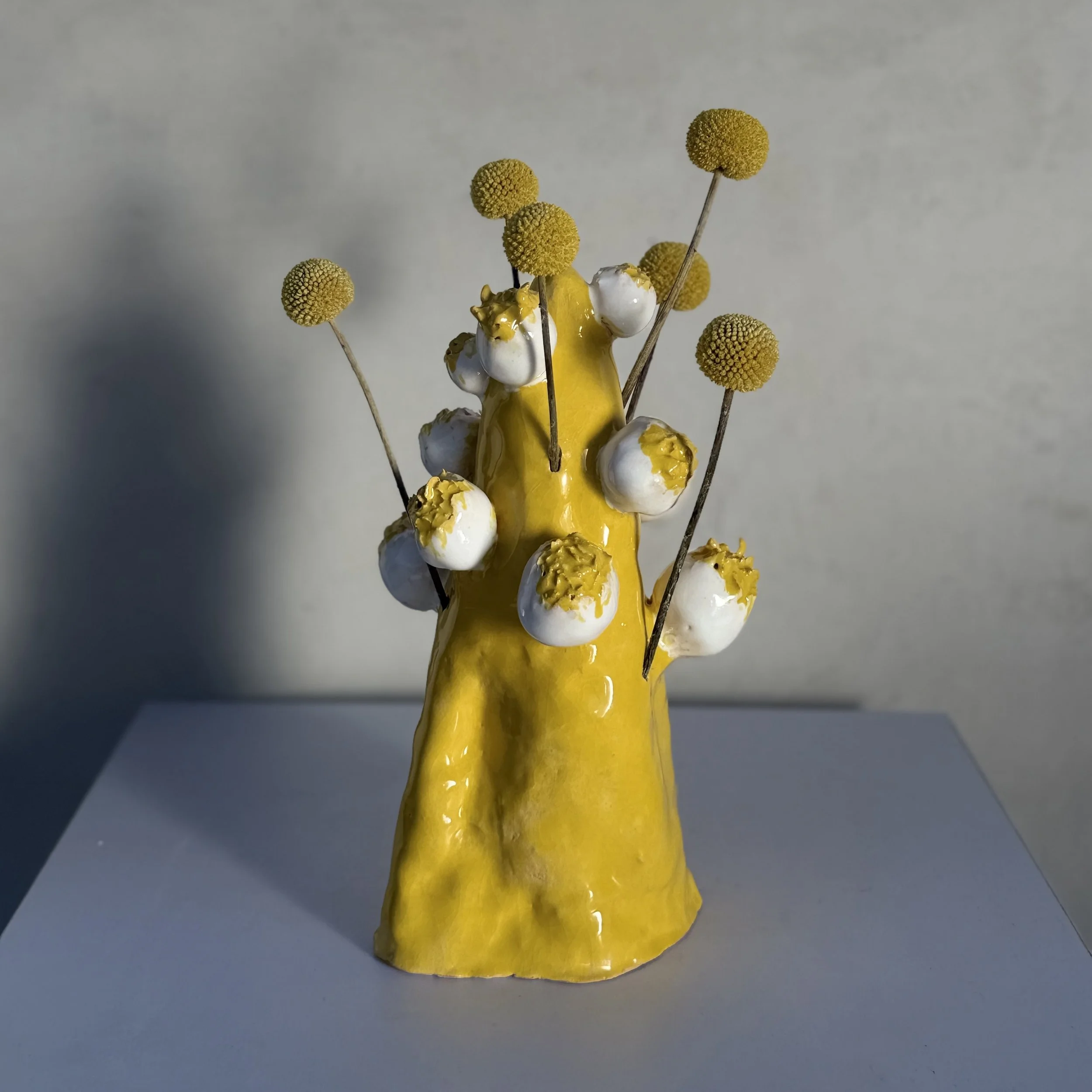 YellowButtonTree-sq.jpg
