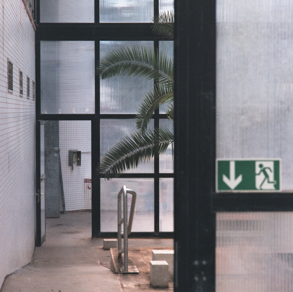 Next exit: jungle