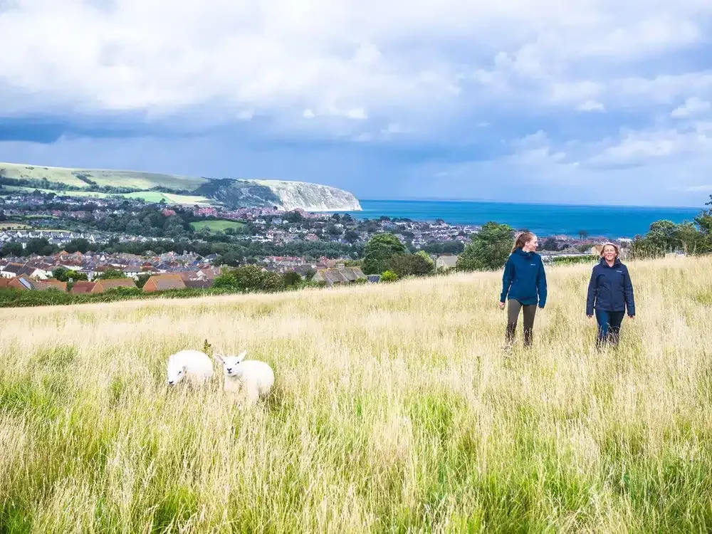 Jane and a client walking through a grassy hillside with the Swanage coastline in the background.
