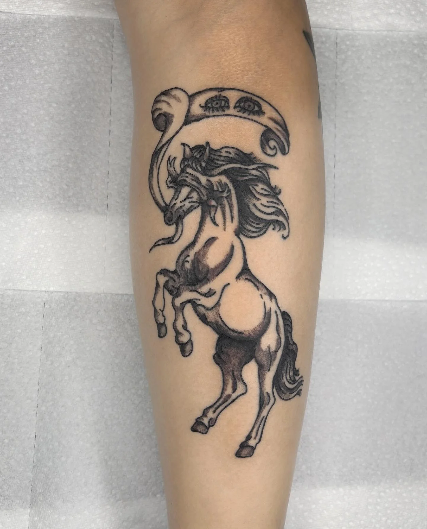 Really nice horse tattoo, video of really nice horse tattoo, the original drawing (which I changed to fit the placement), and what it looked like a day after doing it