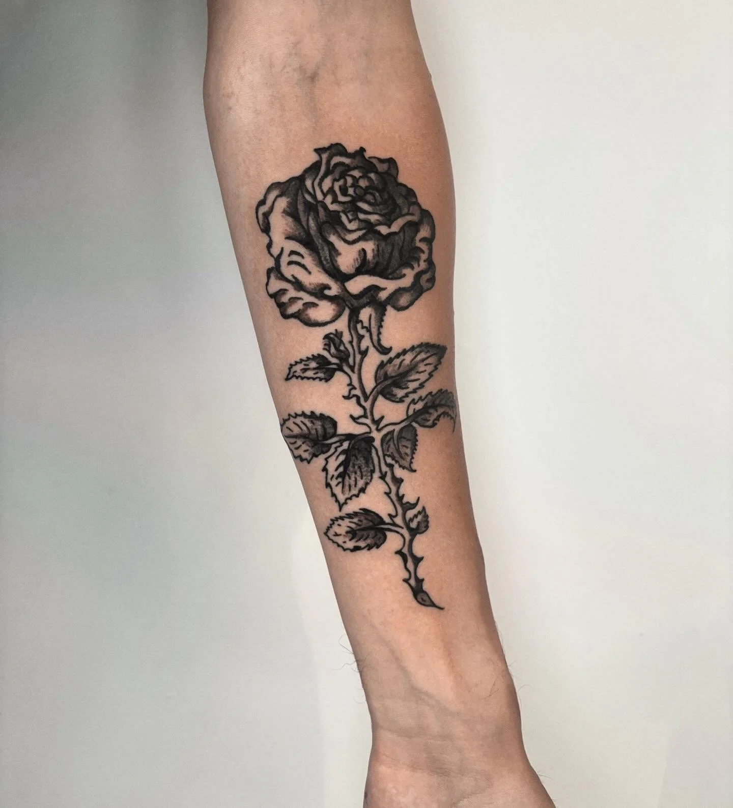 Thanks everyone for getting tattooed last week! It is cancellation season so I am very grateful for everyone who shows up to their appointment on time or shoots me a text if they&rsquo;re running late. I remember when I had 700 followers on Instagram