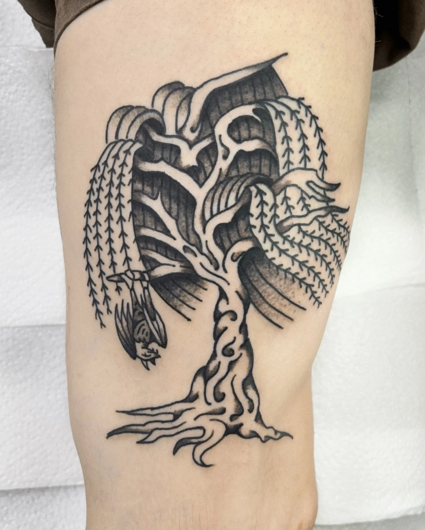 Willow and healed owl for Max who proved once again he&rsquo;s made out of solid rock and metal