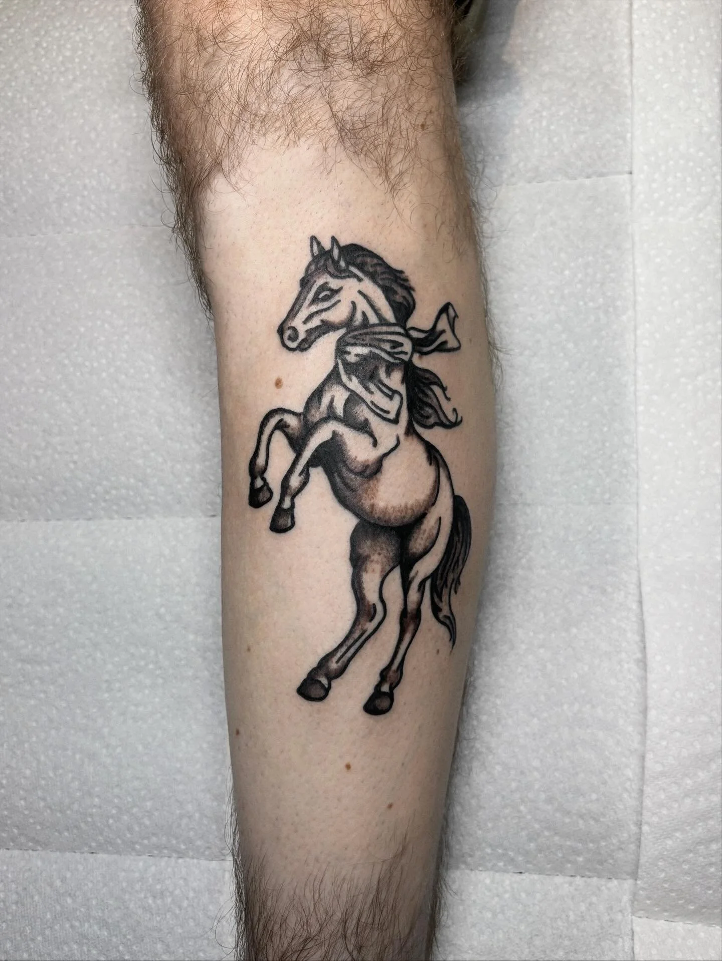 Horse with scarf for Hette🐴🧣
Healed back on Alejandro 
Worst picture I ever made of a tattoo also on Alejandro