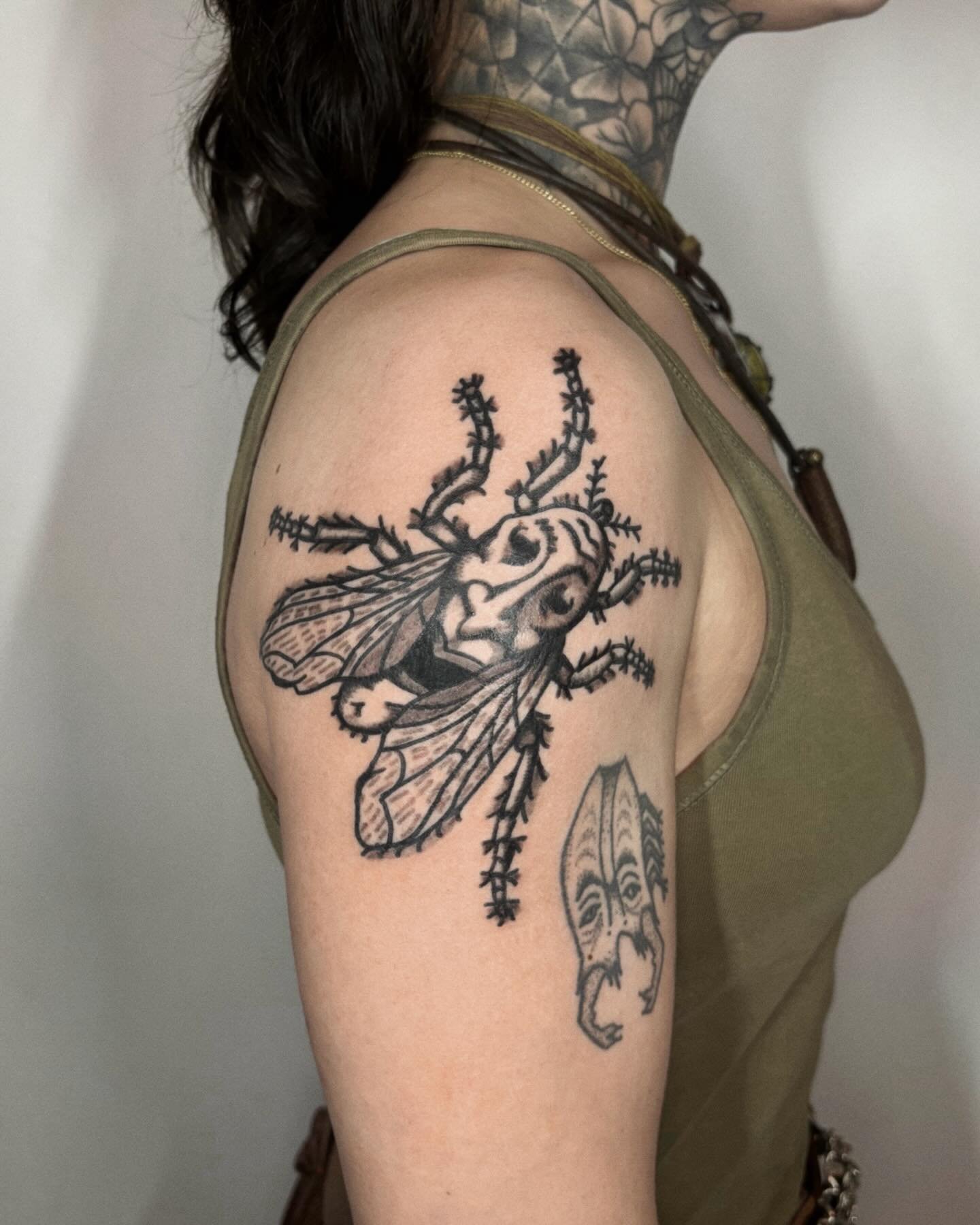 Fly-man and eagle. Finally got to do a tattoo from my Tattoo Peter flash collection, swipe to see it. Always happy to do trad pieces as well