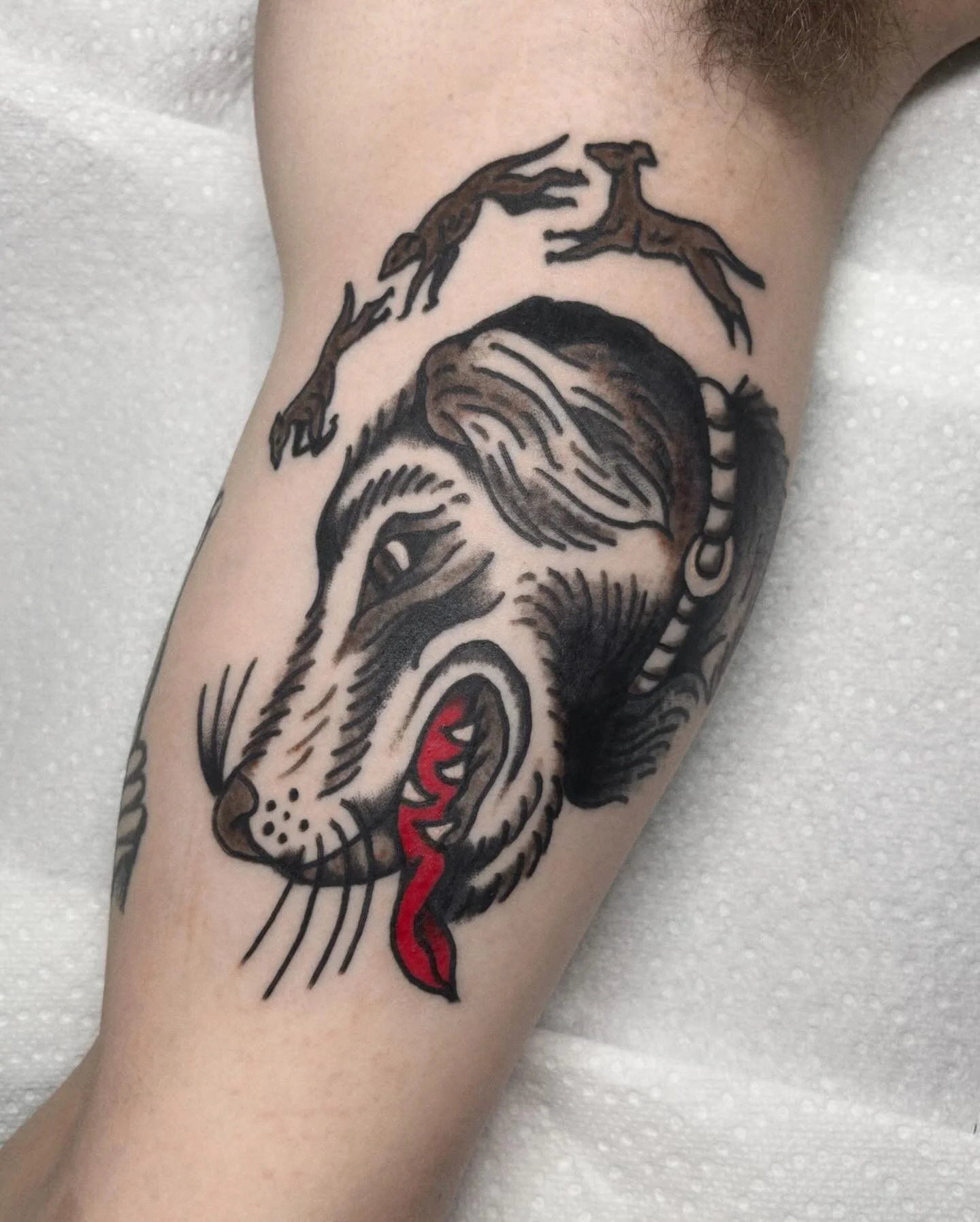 Bicep blaster and forearm frenzy from this weekend. I love my job.