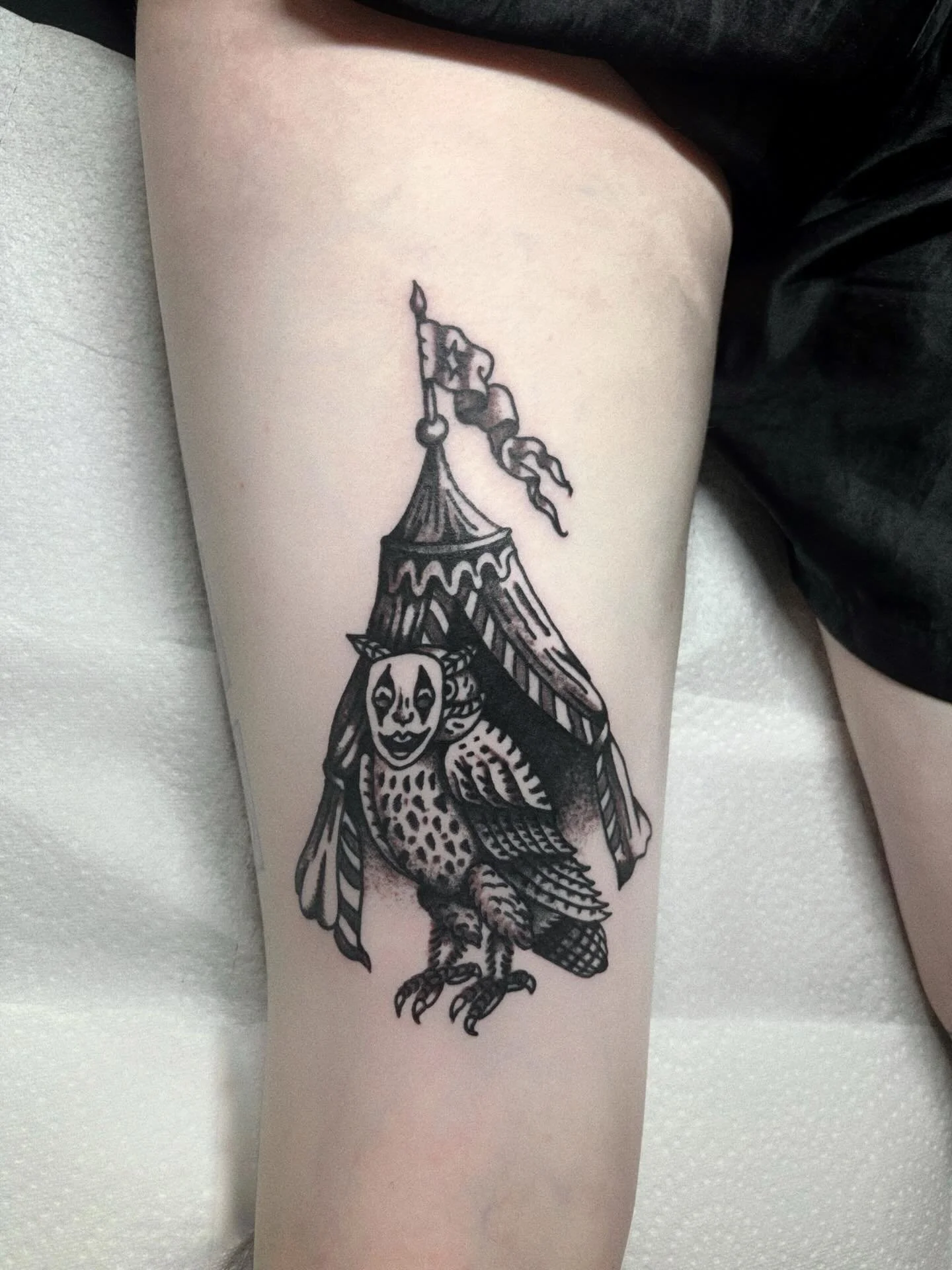 Bird circus for Wolfje, thank you so much