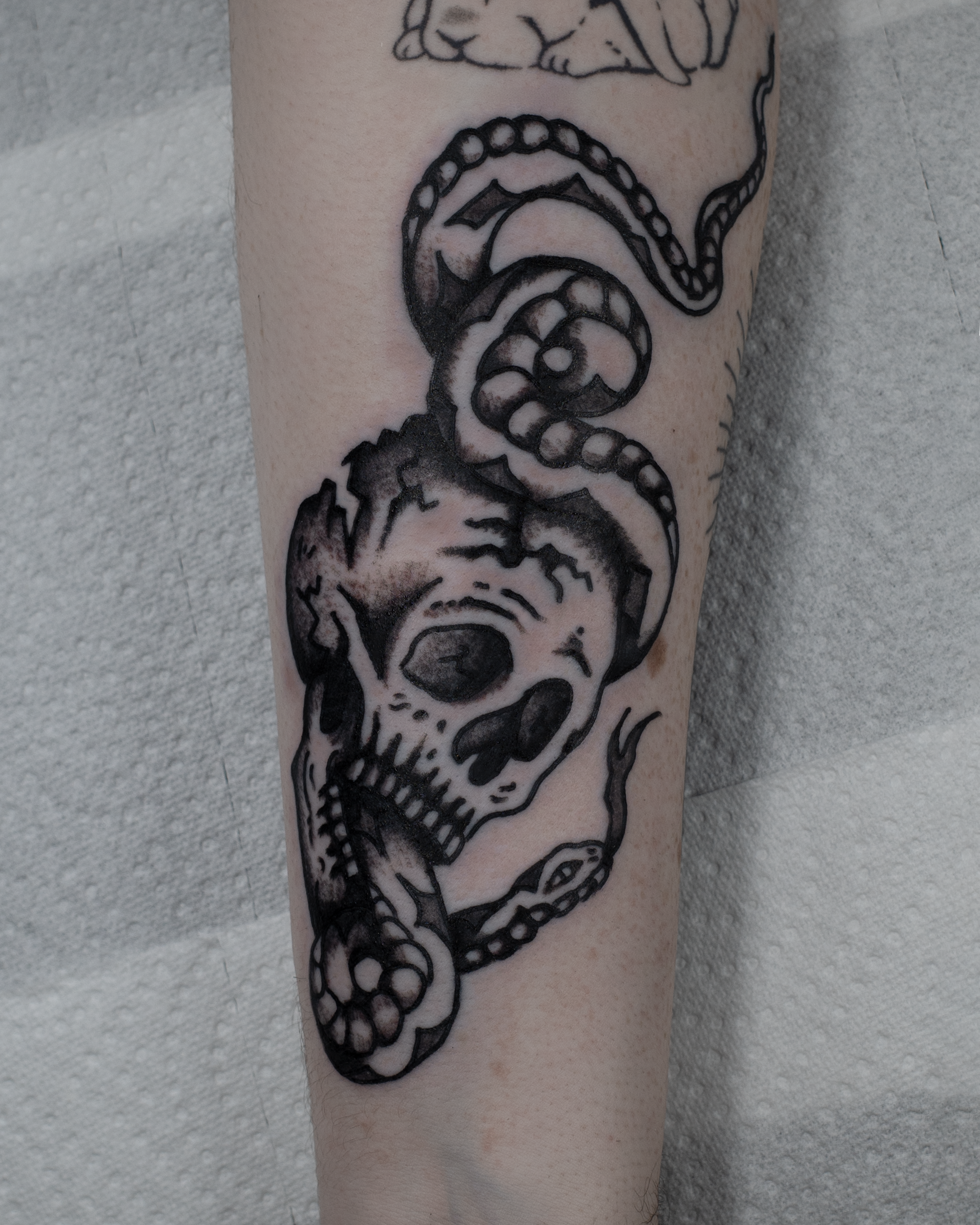 Tattoo of a skull with a dog’s face and a snake intertwined.