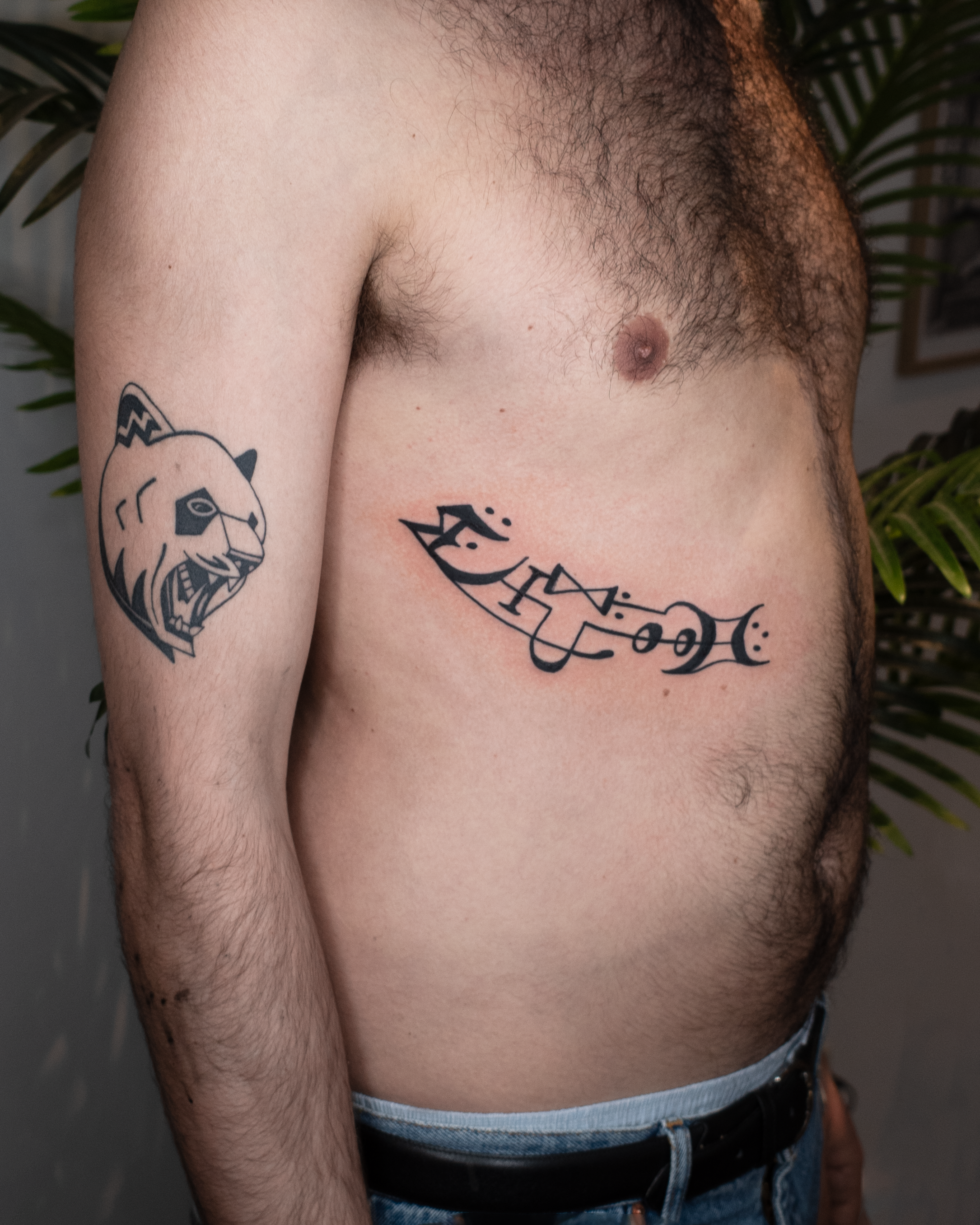 A shirtless person with a lion tattoo on their upper arm and a line of tattoos on their chest, standing indoors near some plants.