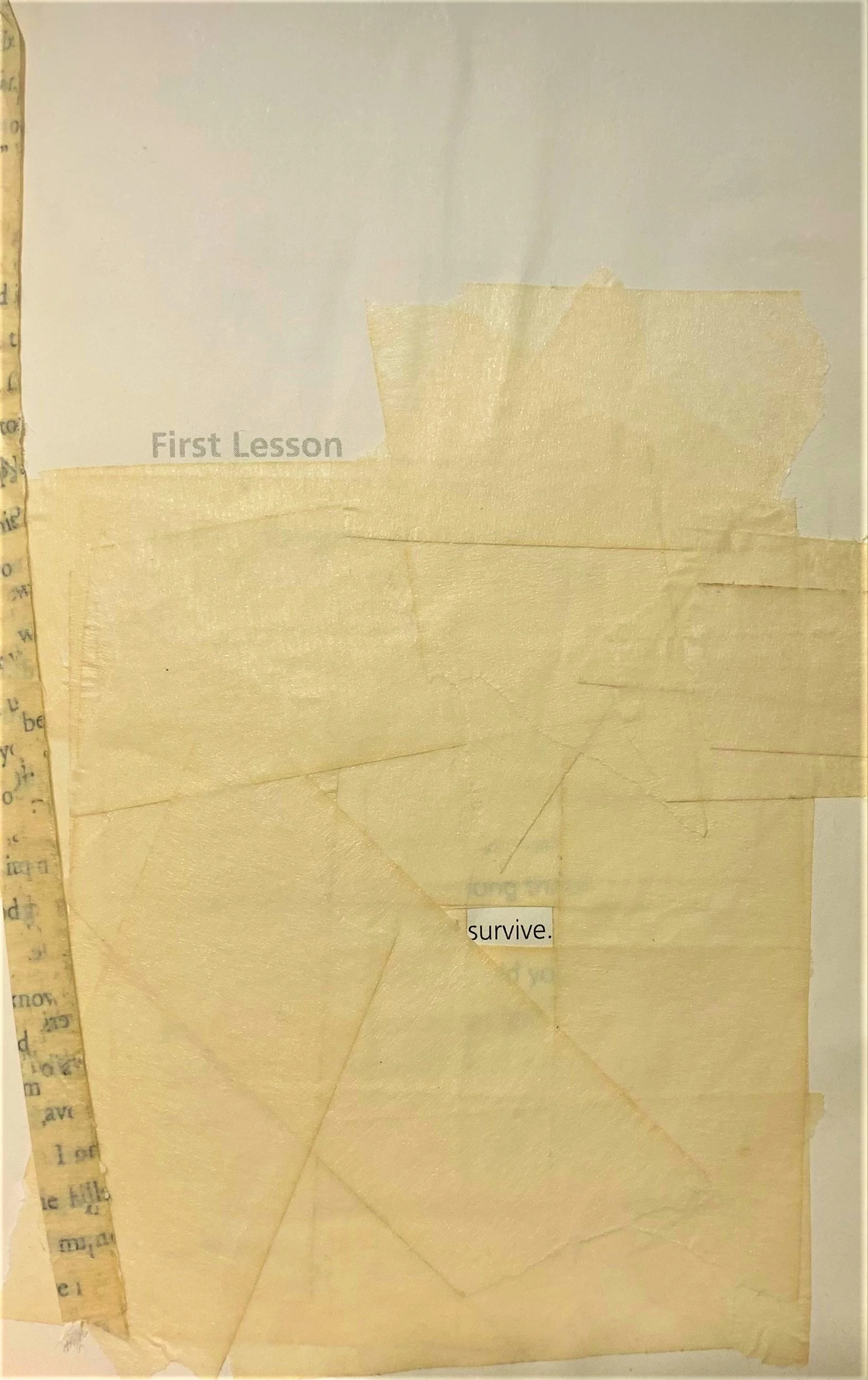 The Counselors Guide to Found Poetry