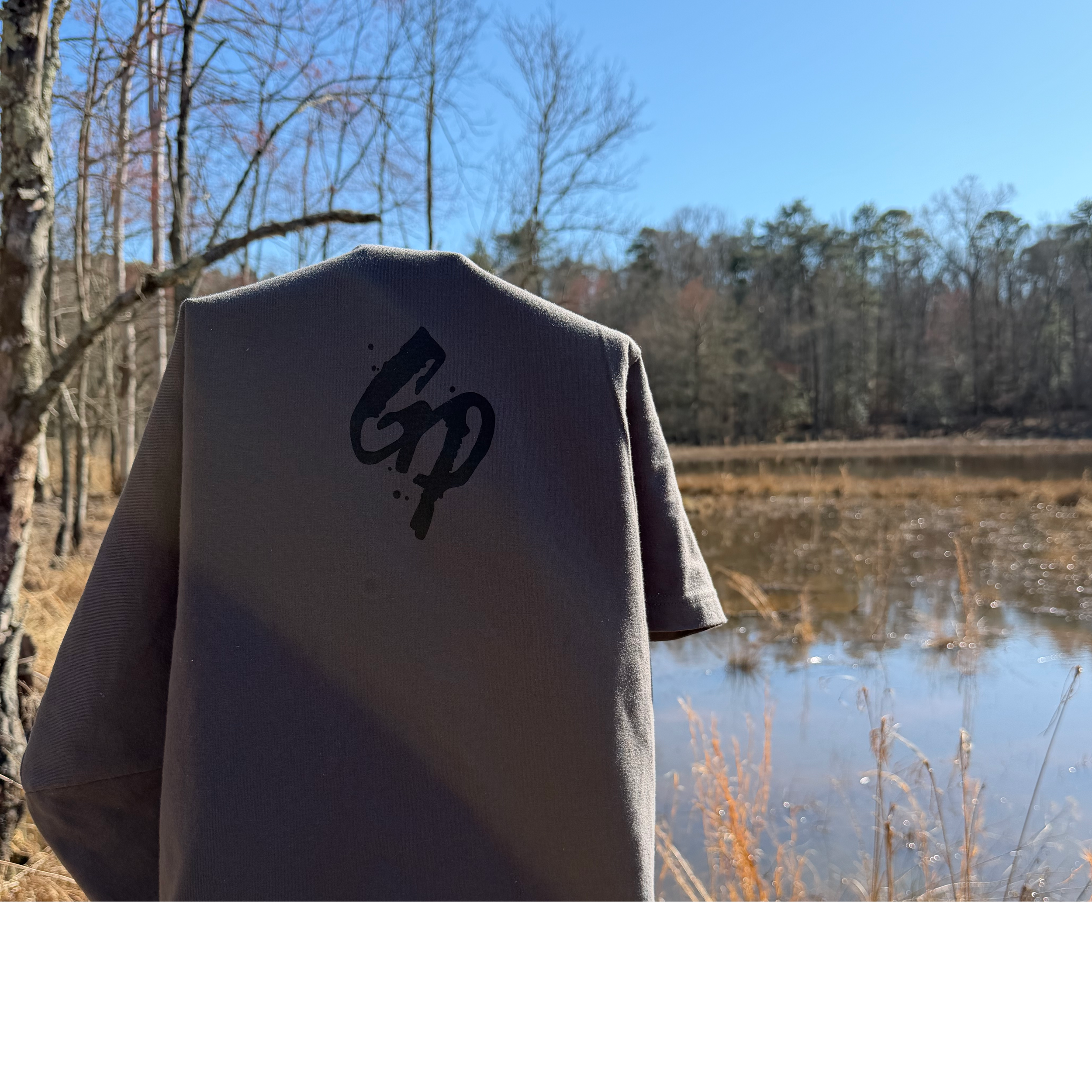 Ap Front Logo-1-1-square.png