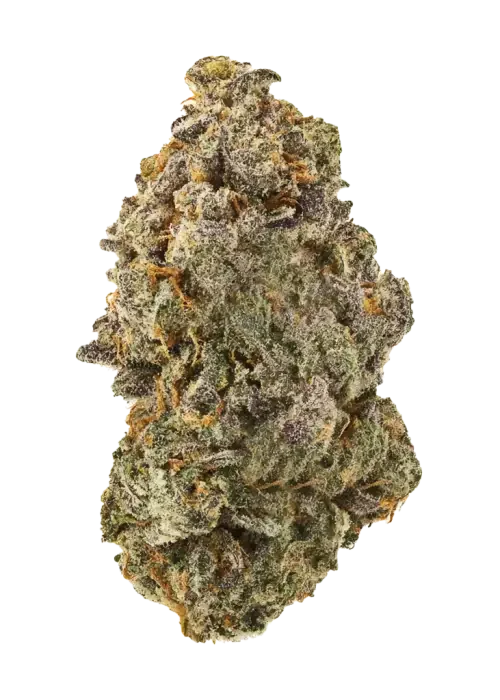 Cherry Lime Margarita