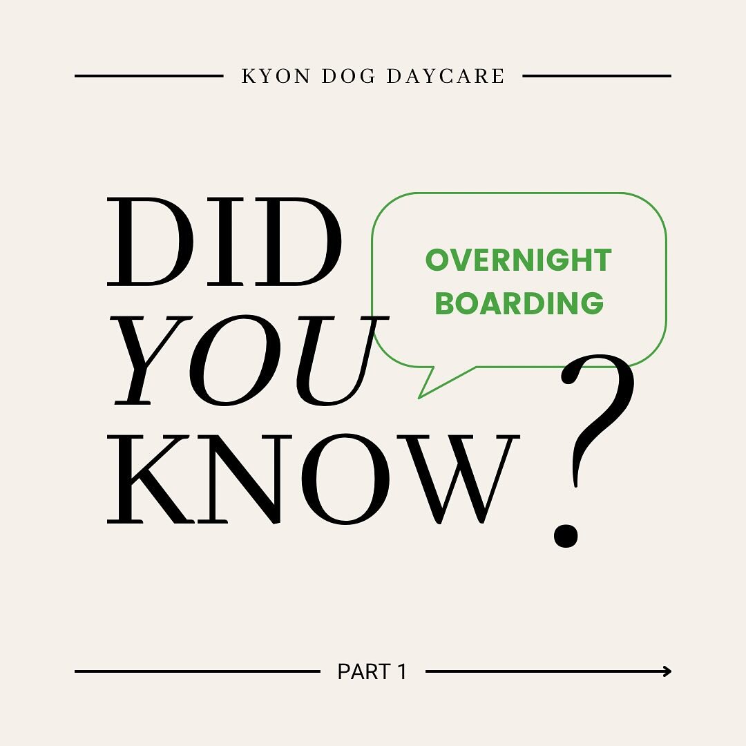 🐶 
❓𝐃𝐈𝐃 𝐘𝐎𝐔 𝐊𝐍𝐎𝐖❓&bull;&bull;&bull; Overnight Boarding
✔️ 1.  Dogs are always supervised. This means there is a person with your dog 24 hours every day of the week. #
✔️ 2.  All dogs get 4 walks per day. Each walk is 15 to 20 minutes.
✔️ 3
