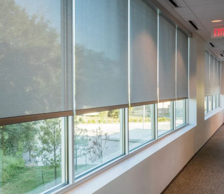gray solar shades.jpg