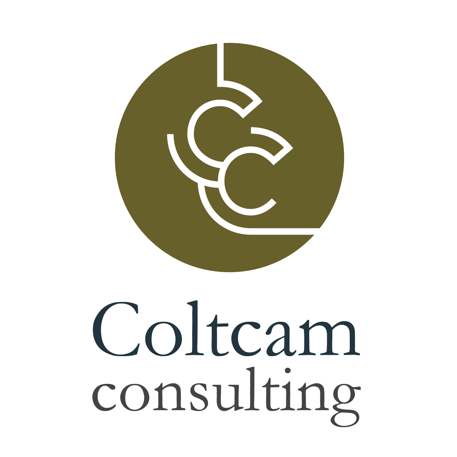 Coltcam Consulting