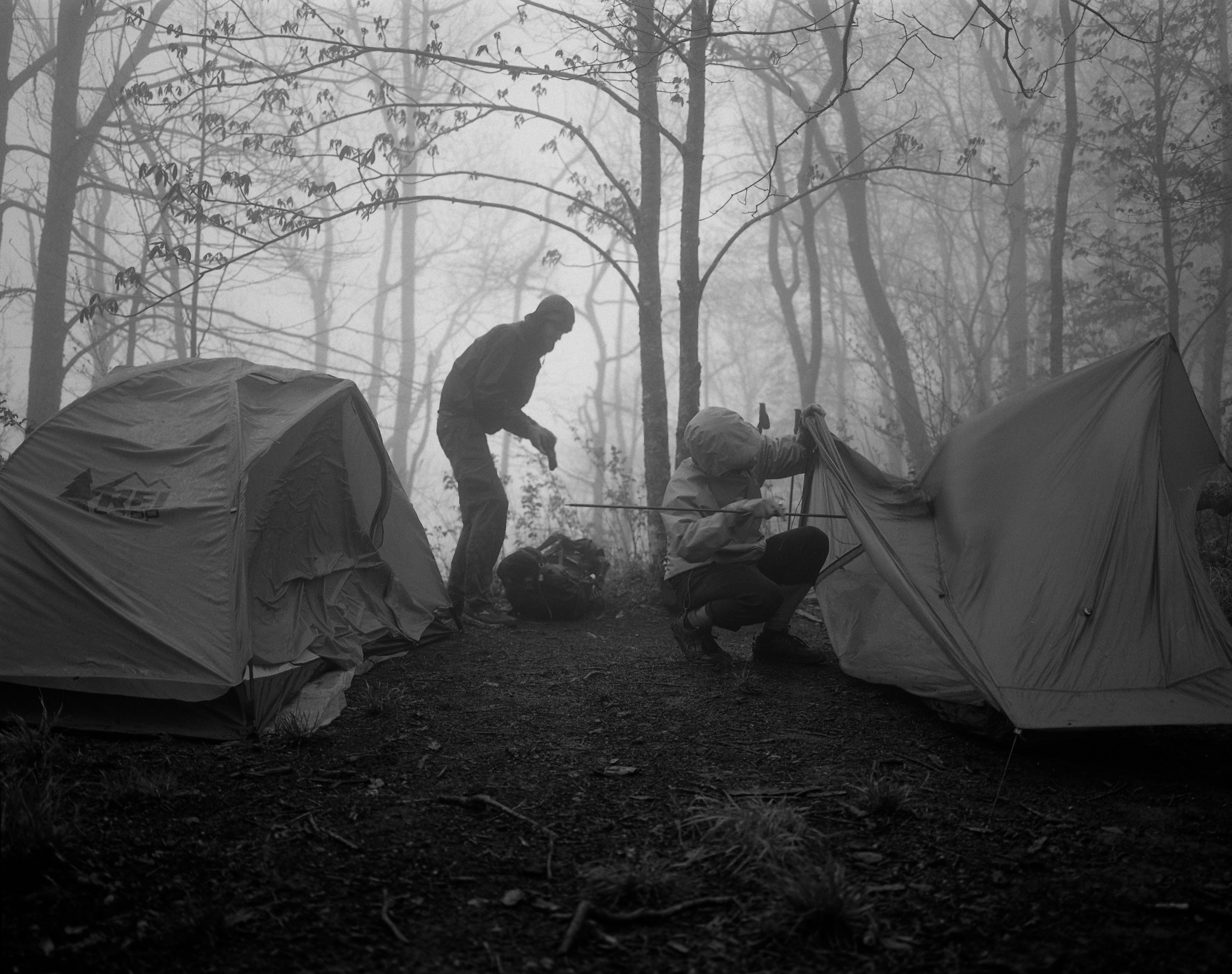 Albatross & Flash — Tennessee — mile 365.4