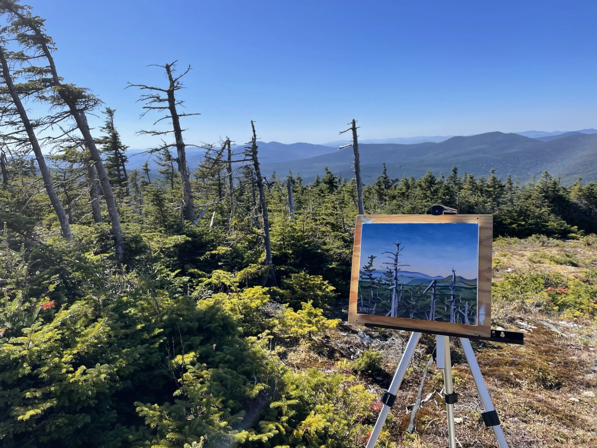 Homecoming Weekend - Timberline #9