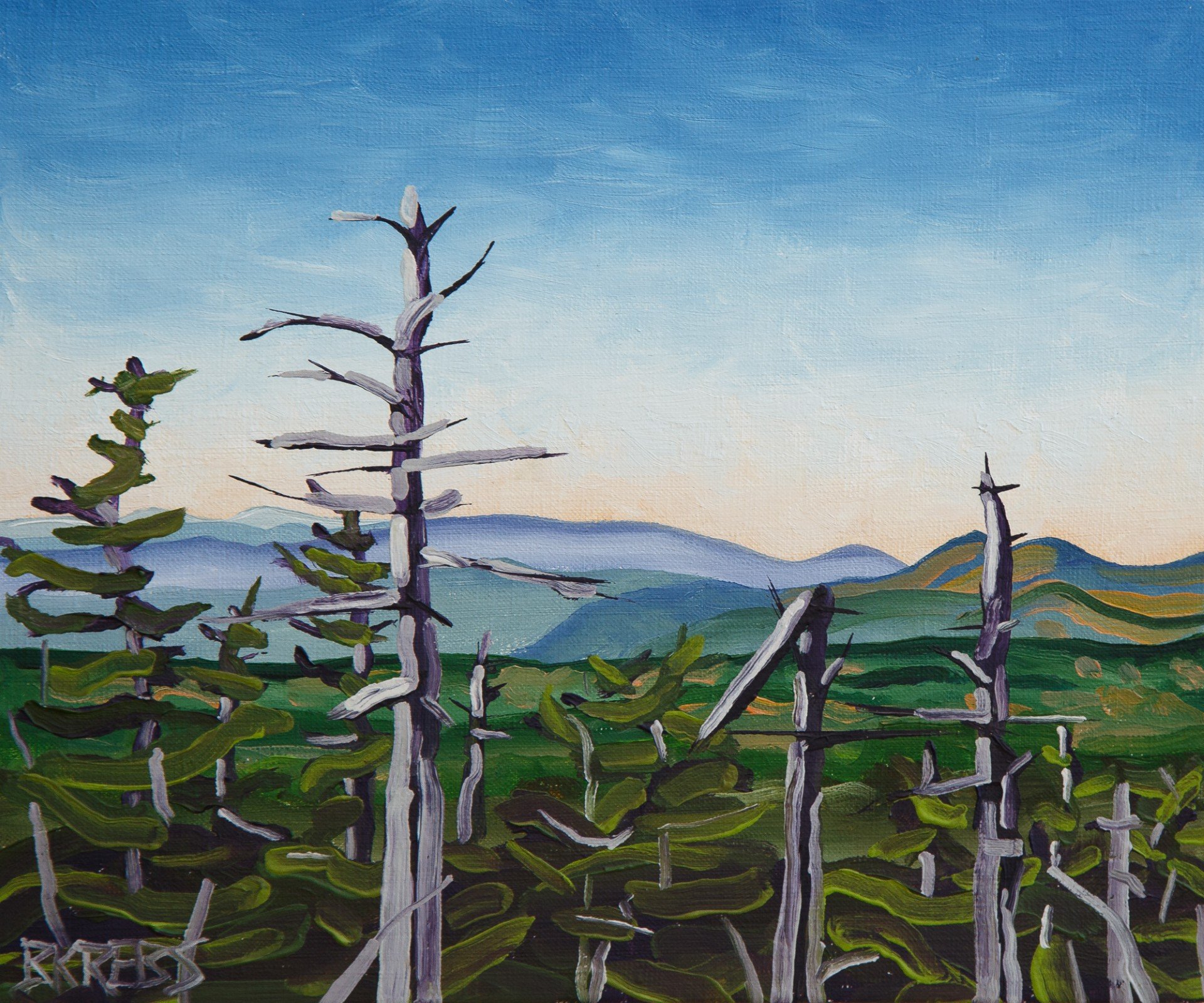 Timberline_#9_lowres j.jpg