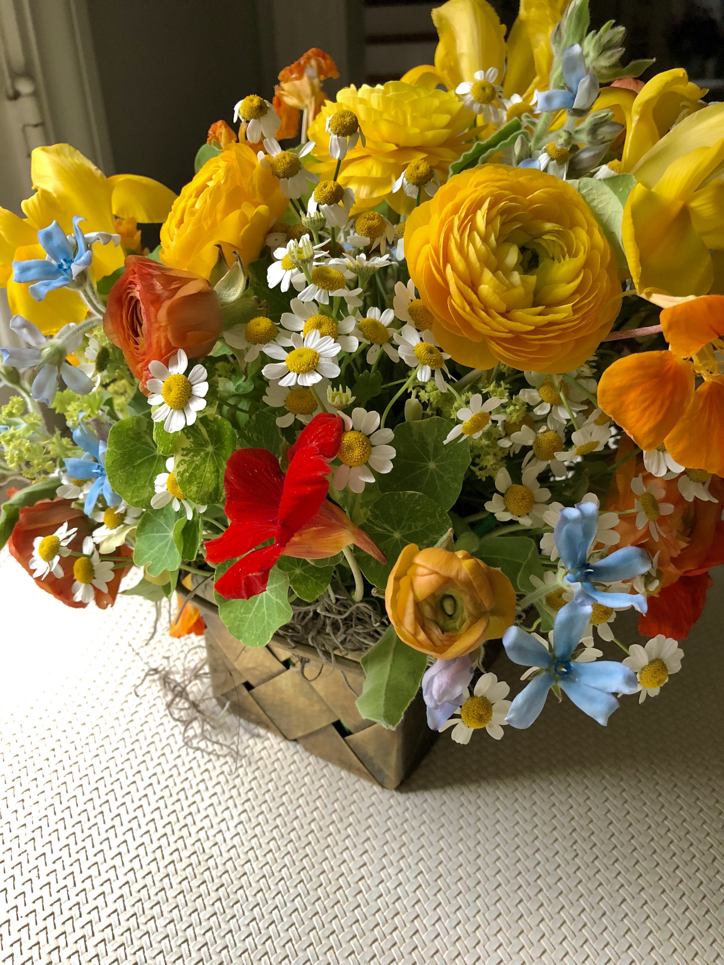 IMG_5258.jpeg