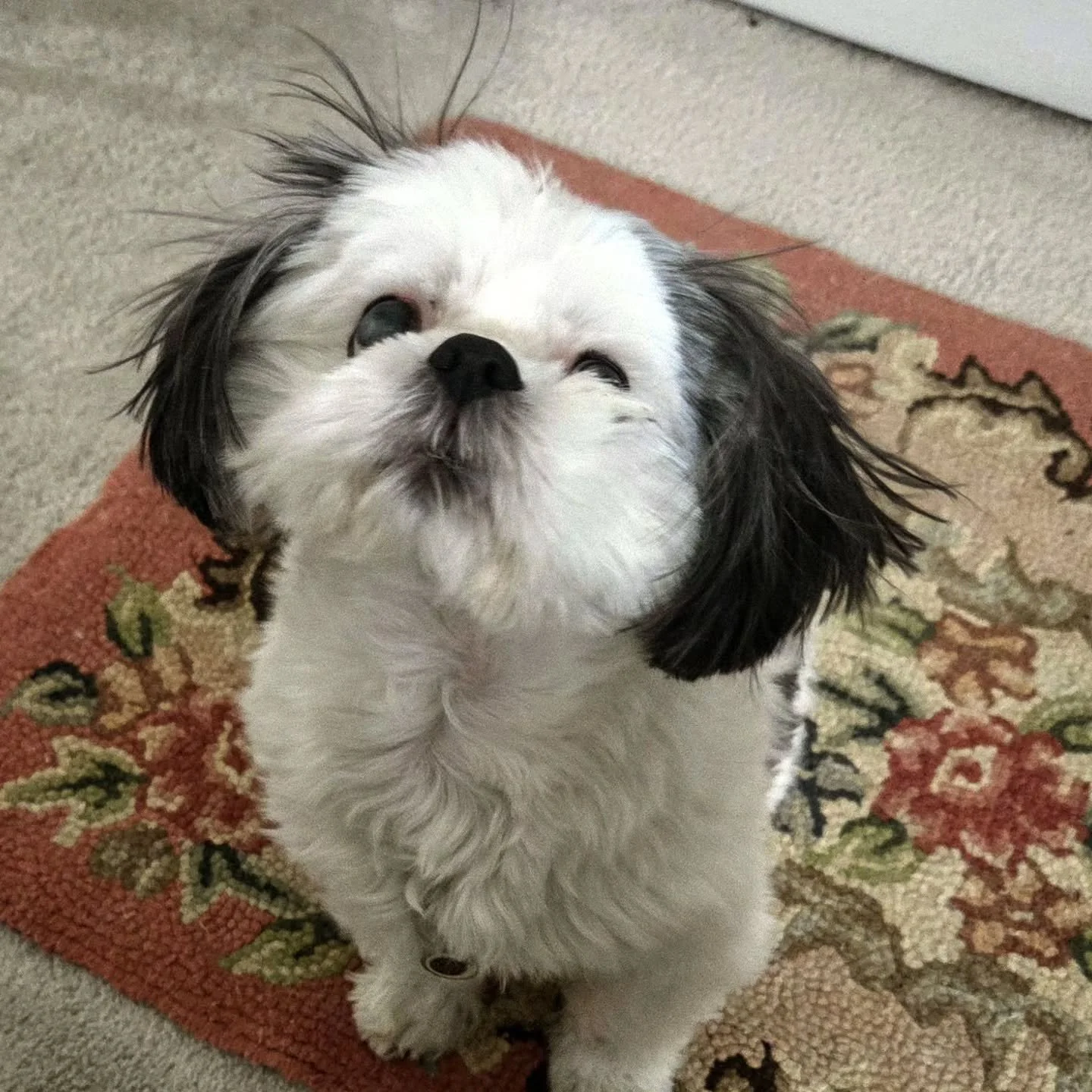 Happy  Birthday  to this little girl!