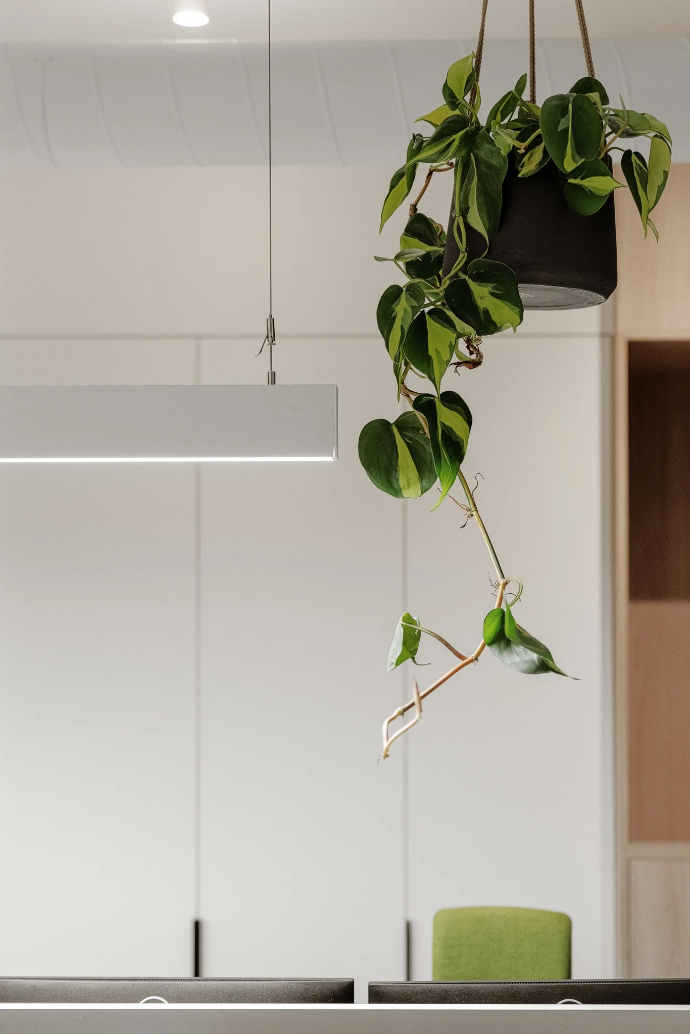 禁om Kurek_TS401709_32+1_2048.jpg