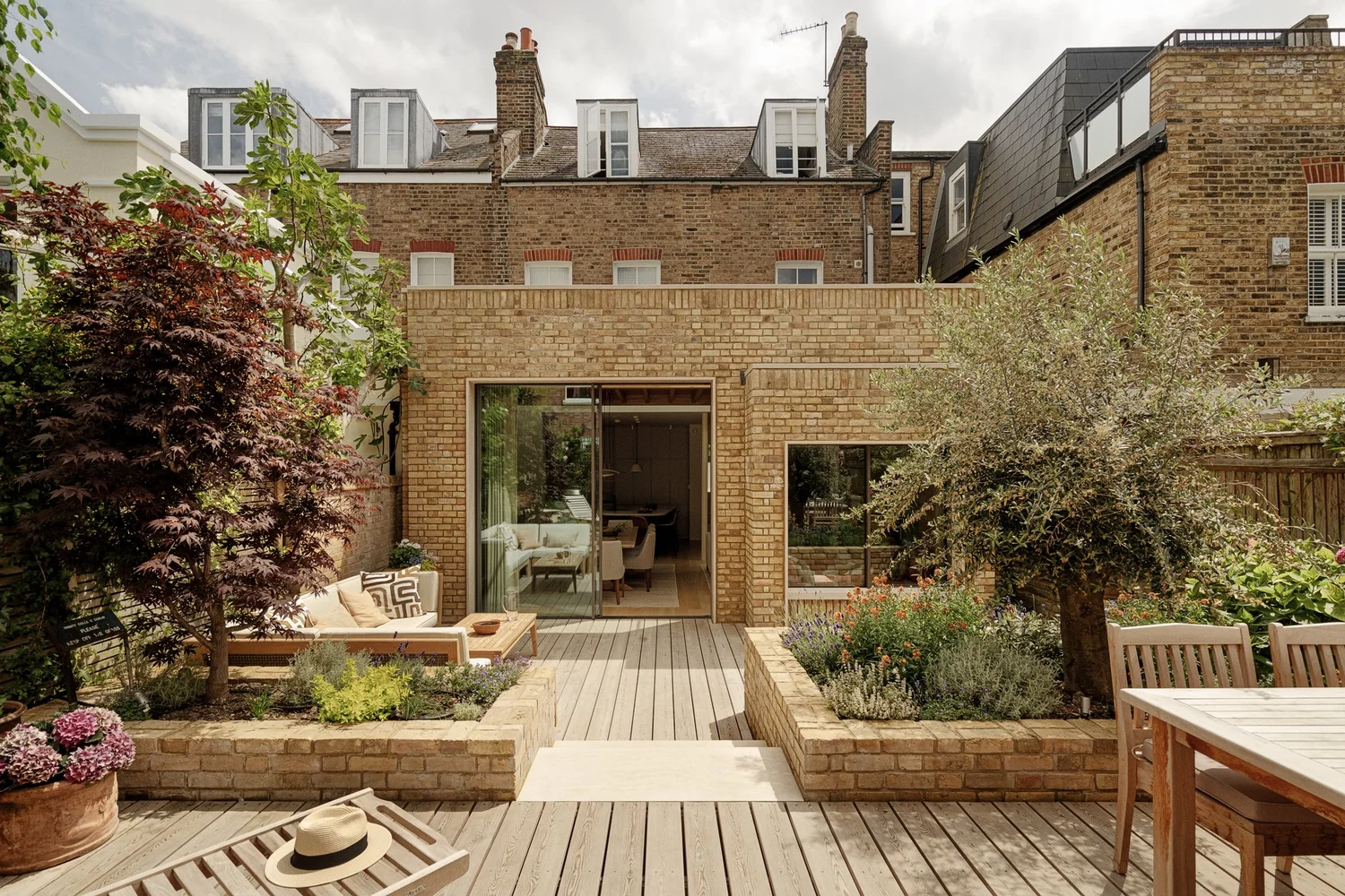 Olive tree and lavender planting
