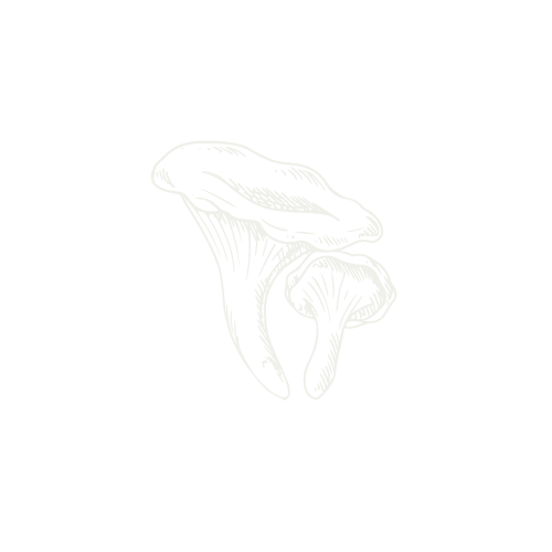 Chef Johnny Mendez
