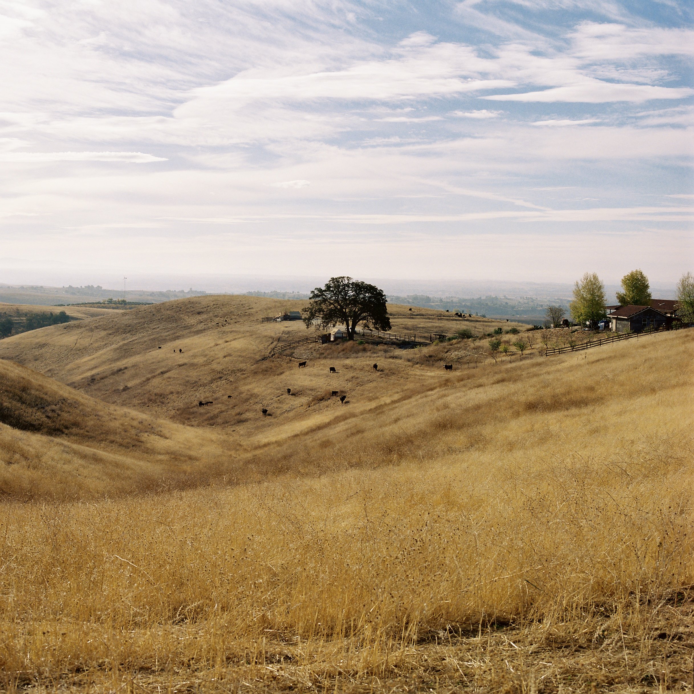 IMG0525-R01-006.jpg