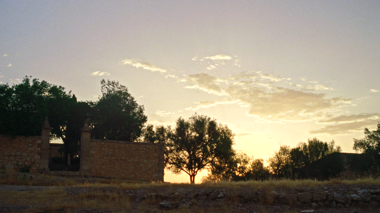 mallorca_1.29.1 Large.png