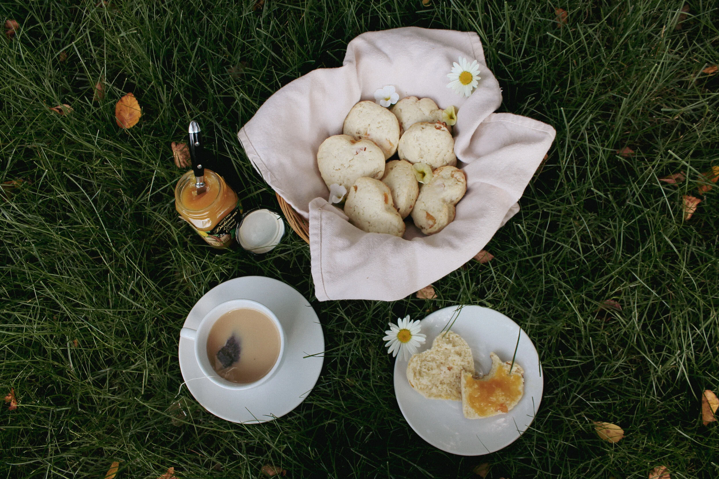 Homemade Apricot Scones