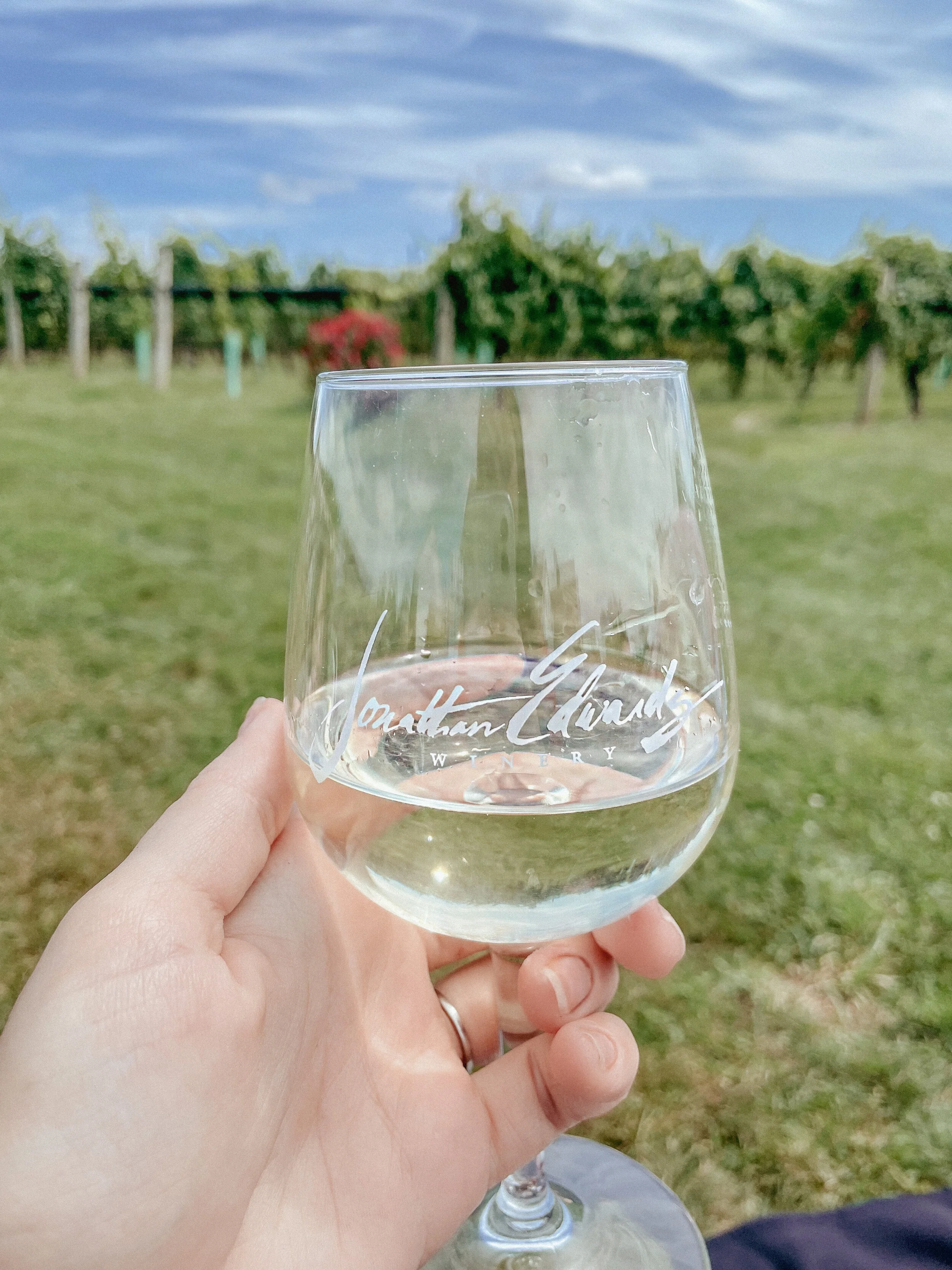 An Afternoon at the Vineyard