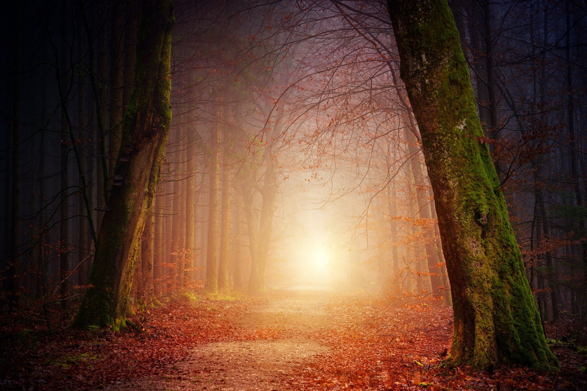 Sober October: Ready. Set. Go!