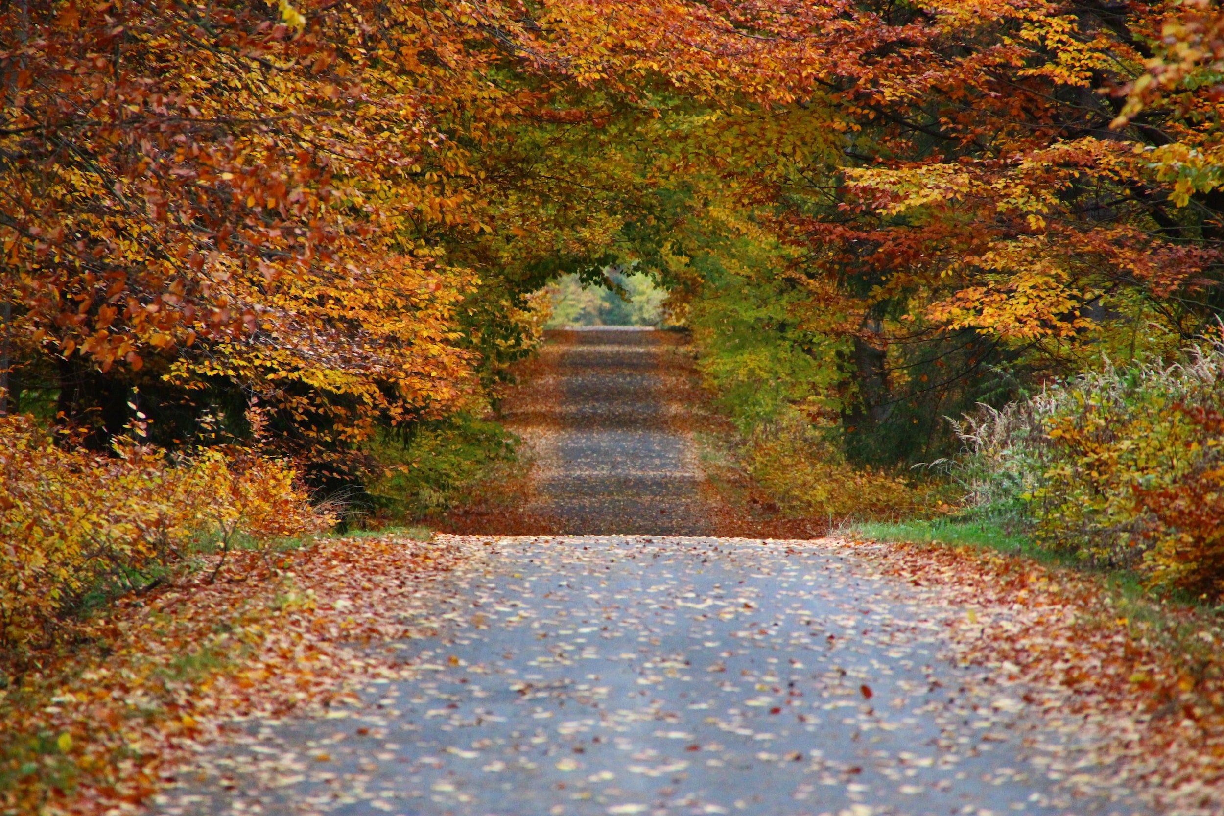 Sober October: That’s a Wrap!
