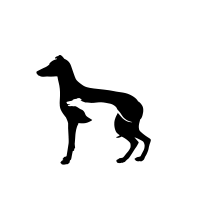 Stephen Lee | Visual Artist