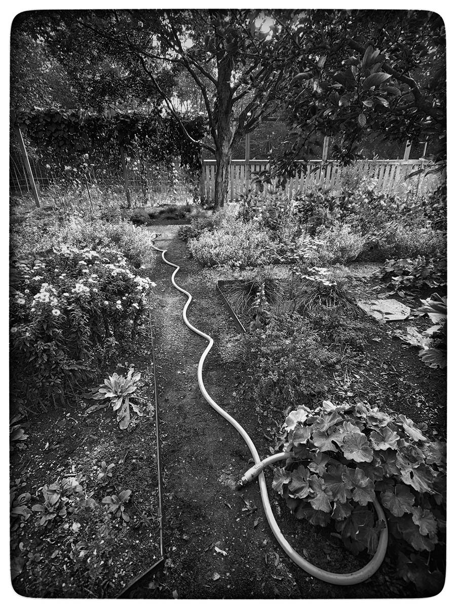 Garden Hose