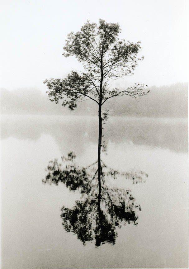 img004.jpg
