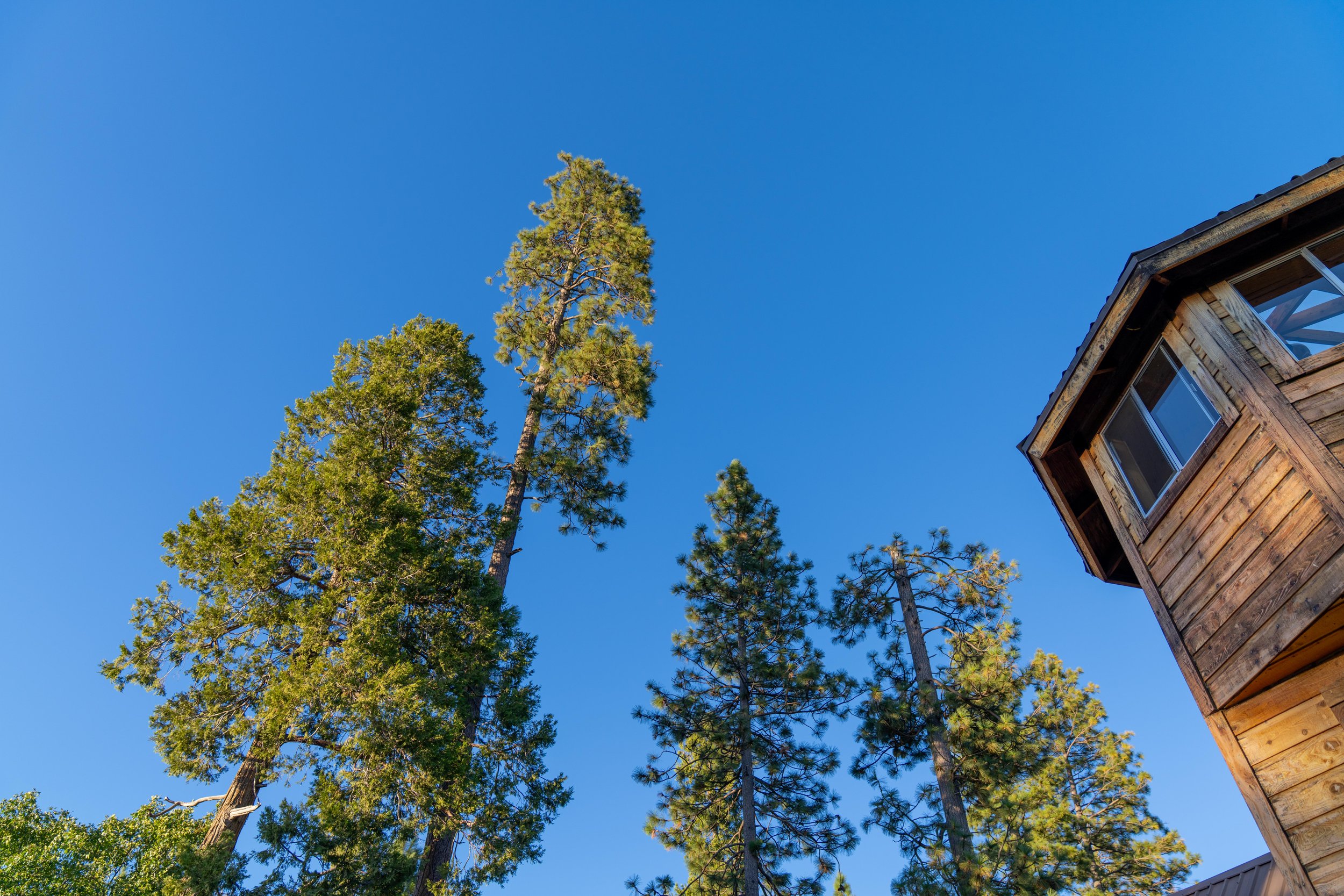 Yosemite-071.jpg