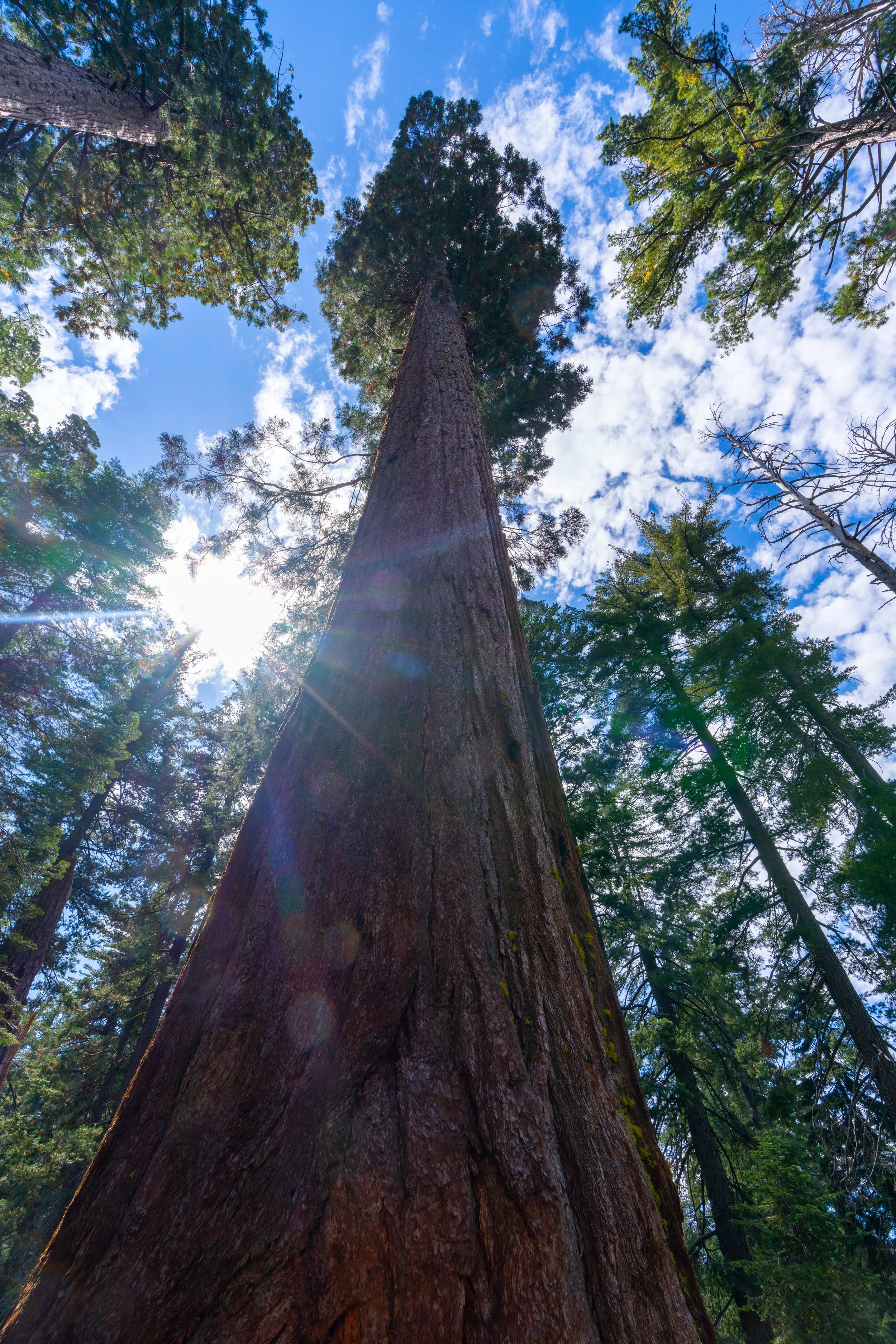 Yosemite-094.jpg