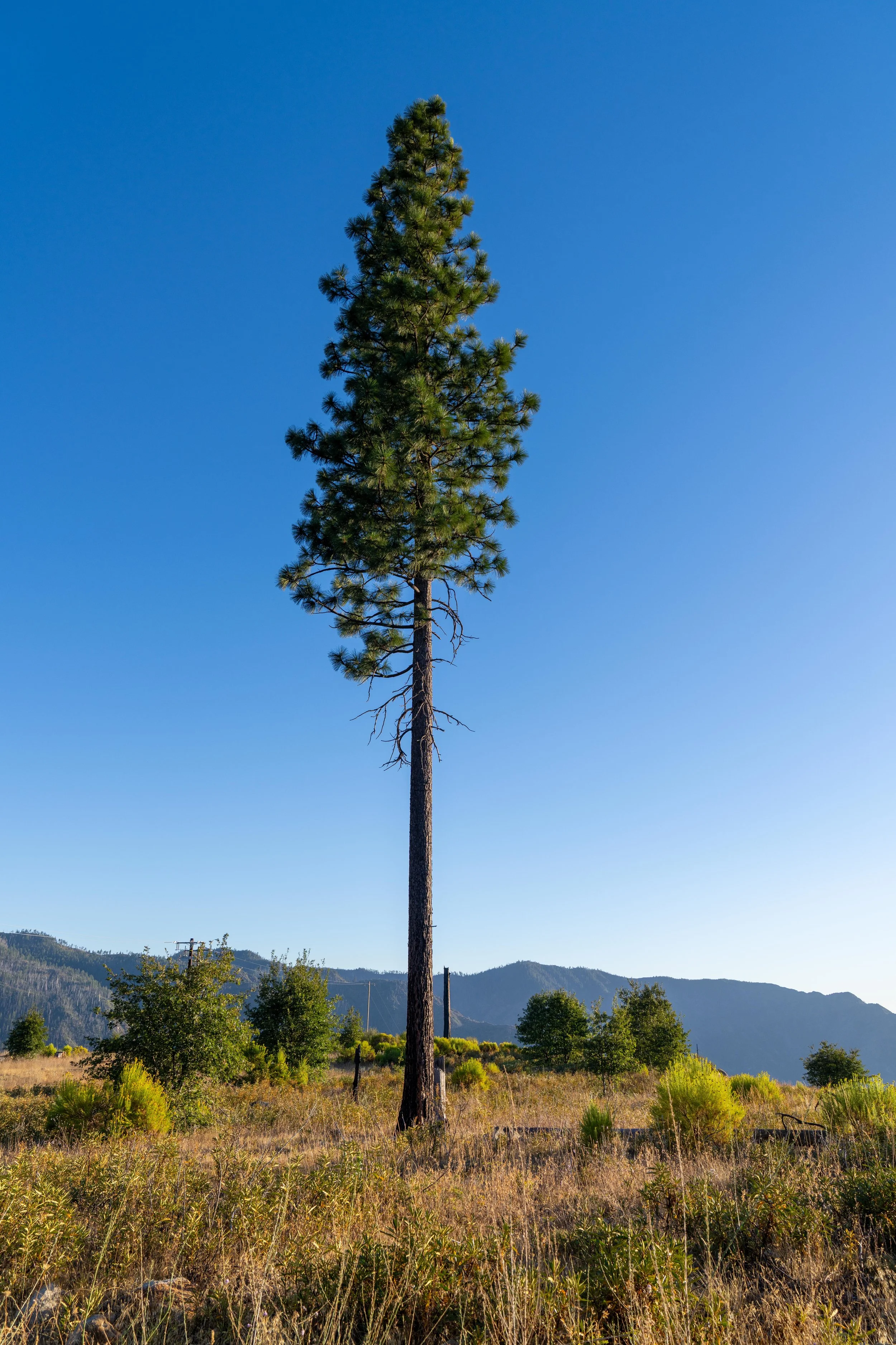 Yosemite-062.jpg